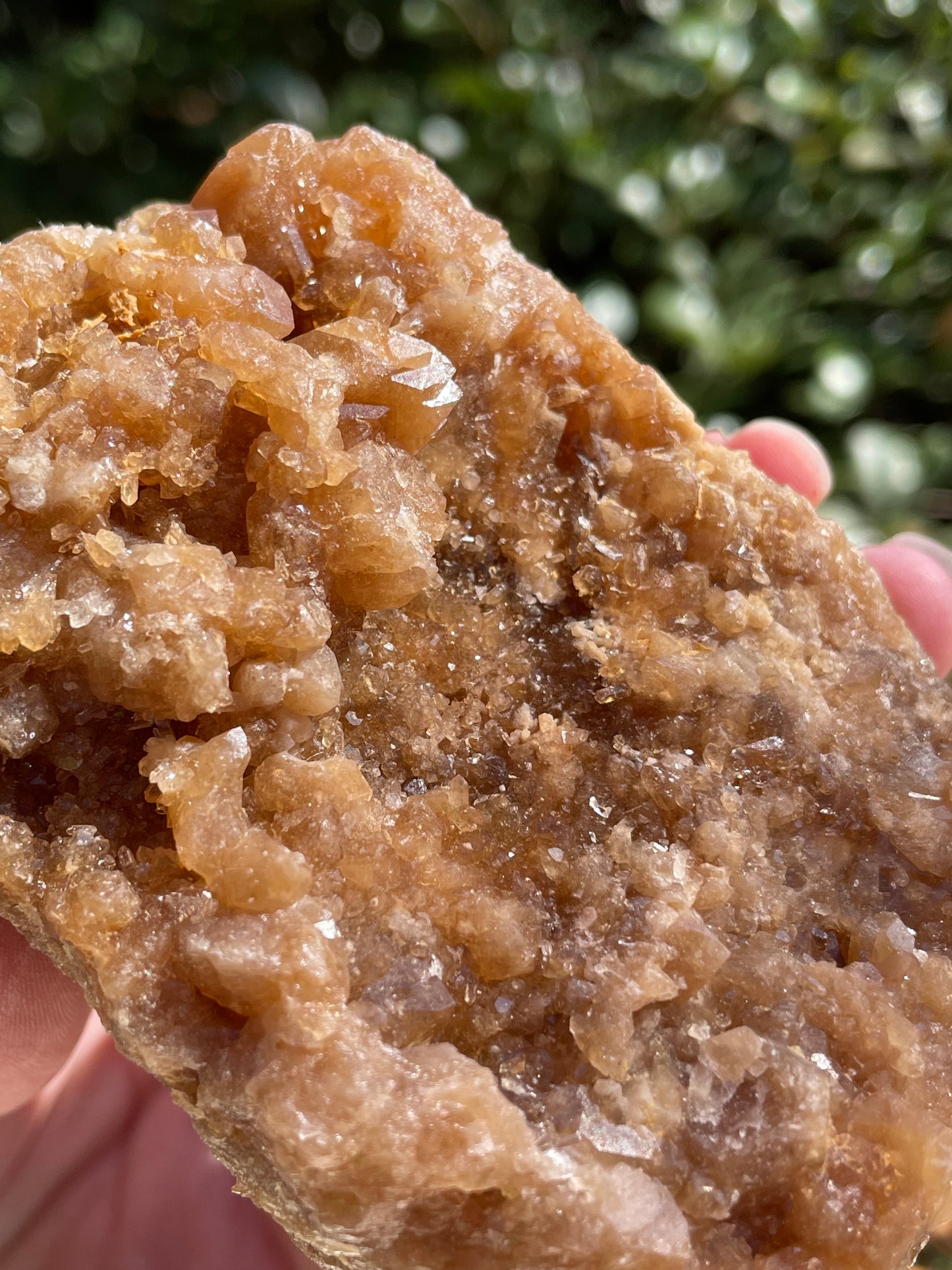 Raw Untreated Citrine Crystal Cluster