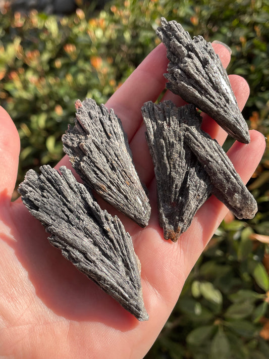 Black Kyanite Fans