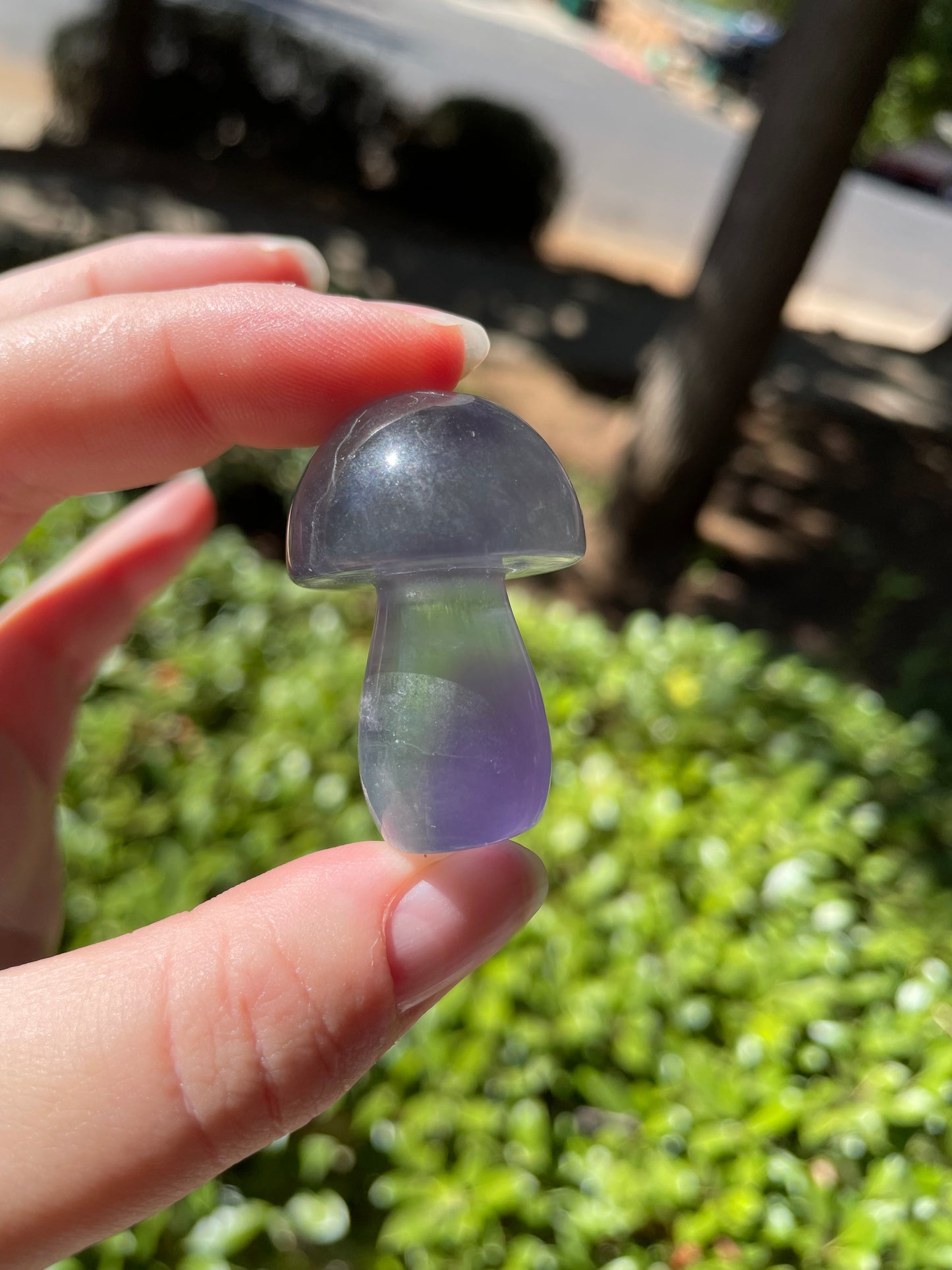 Rainbow Fluorite Crystal Mushrooms