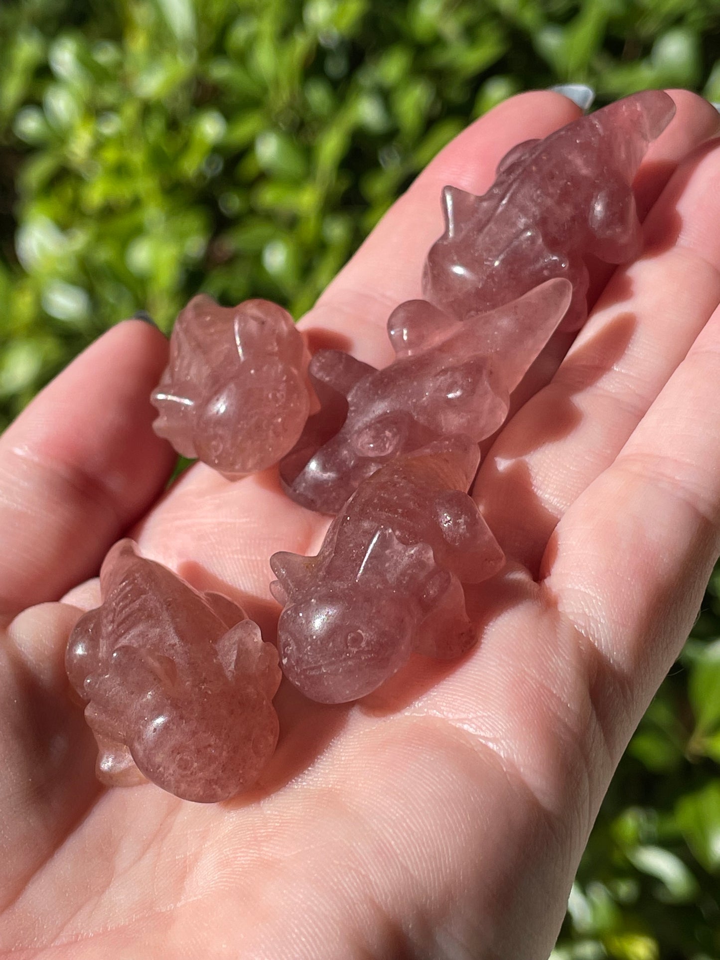 Raspberry Aventurine Axolotl Crystal Carvings