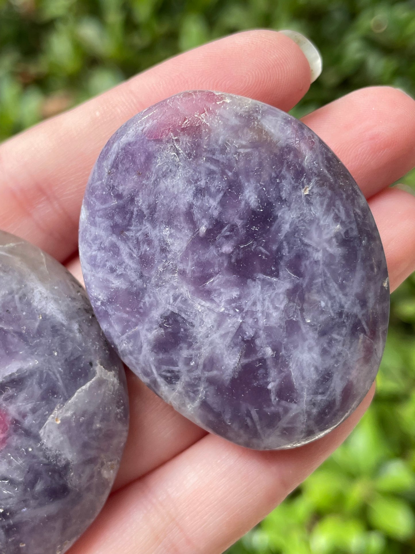 Unicorn Stone Palm Stones