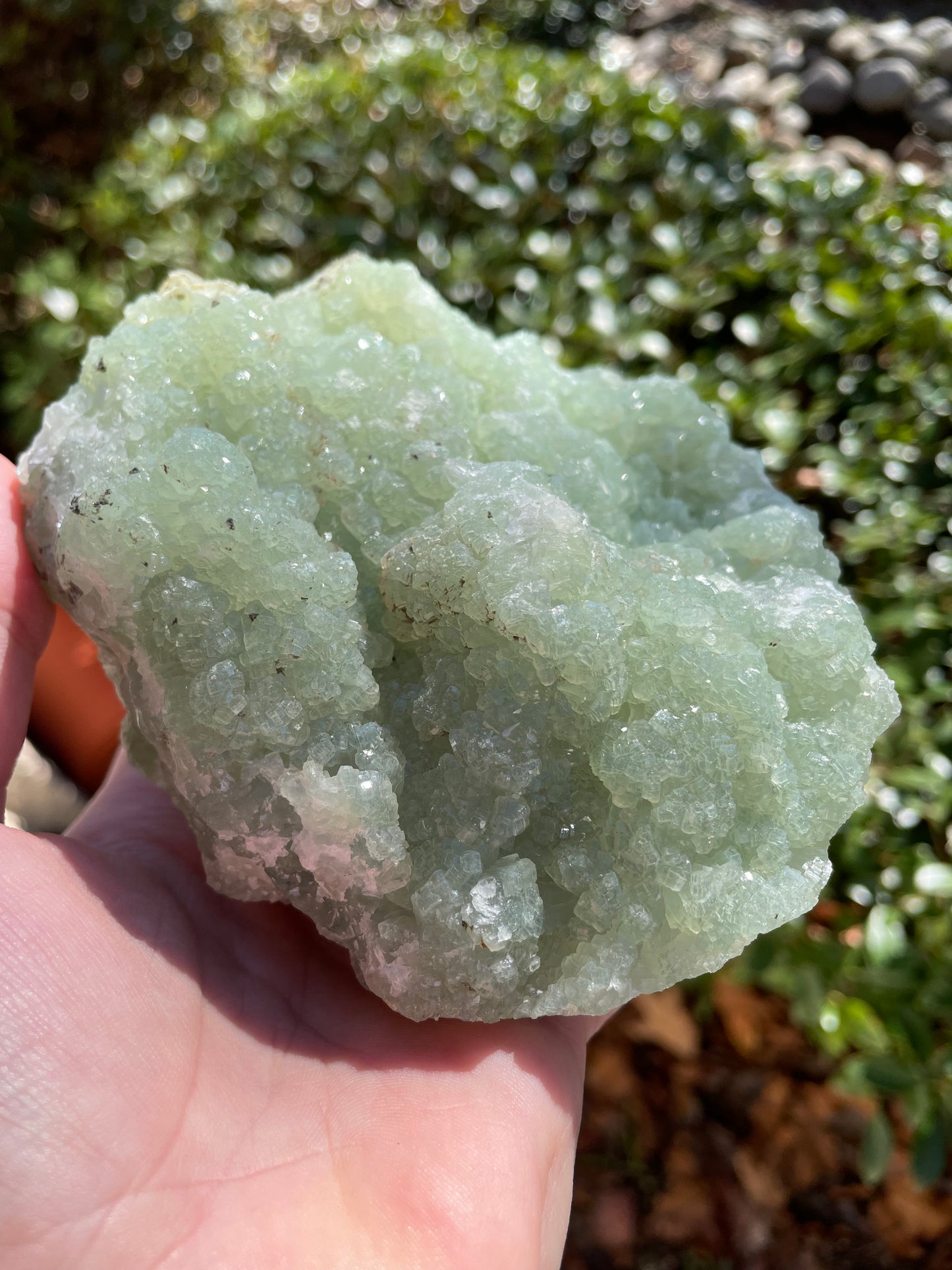 Prehnite Statement Piece Raw Crystal Cluster