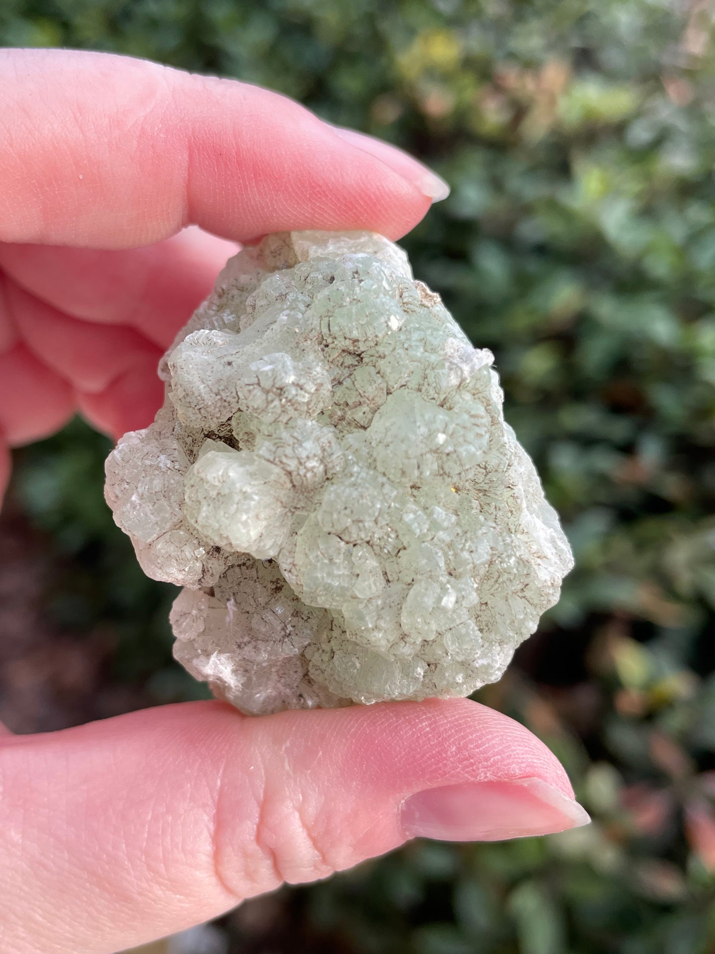 Prehnite with Epidote Crystal Clusters