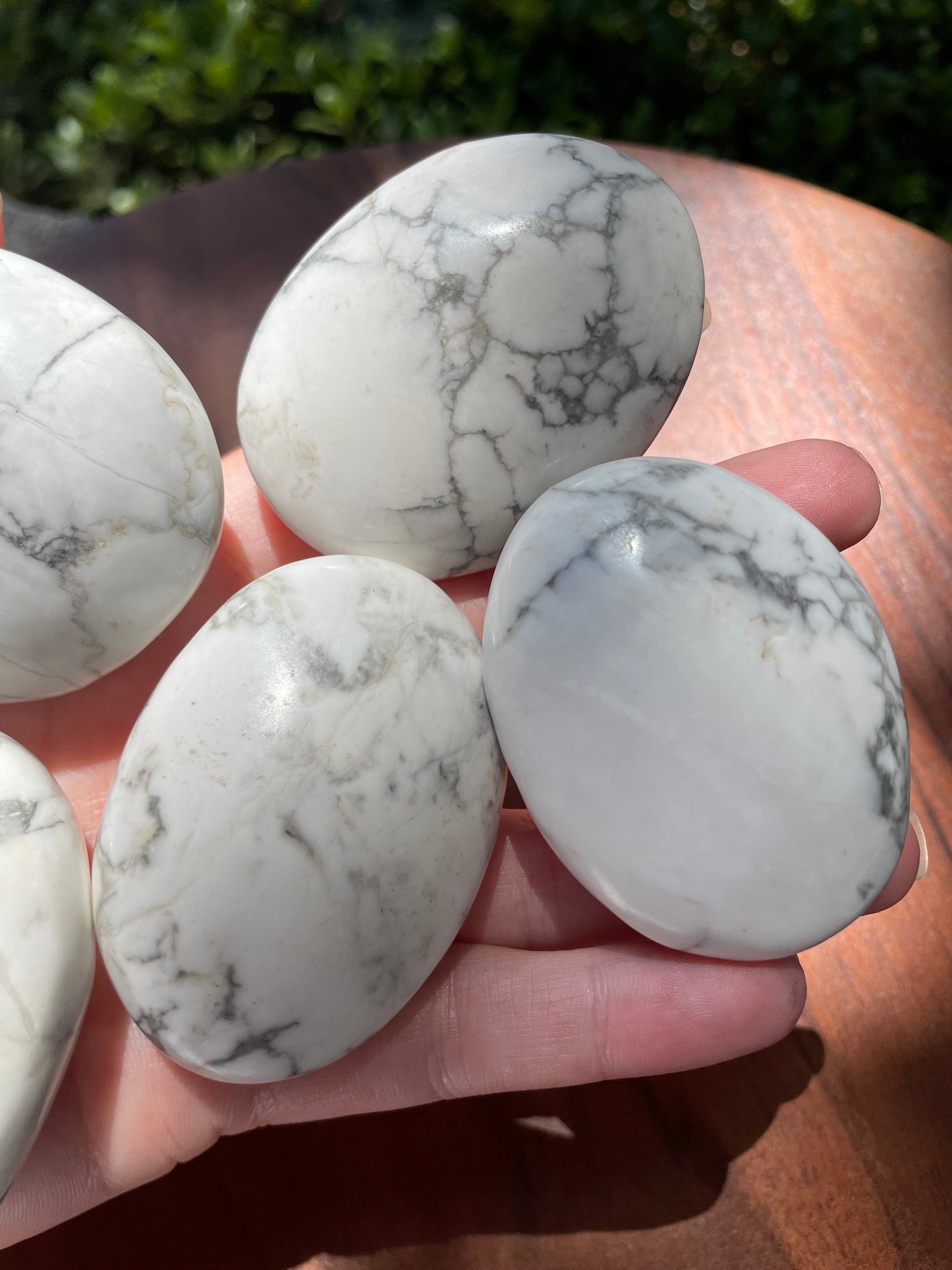 Howlite Crystal Palm Stones