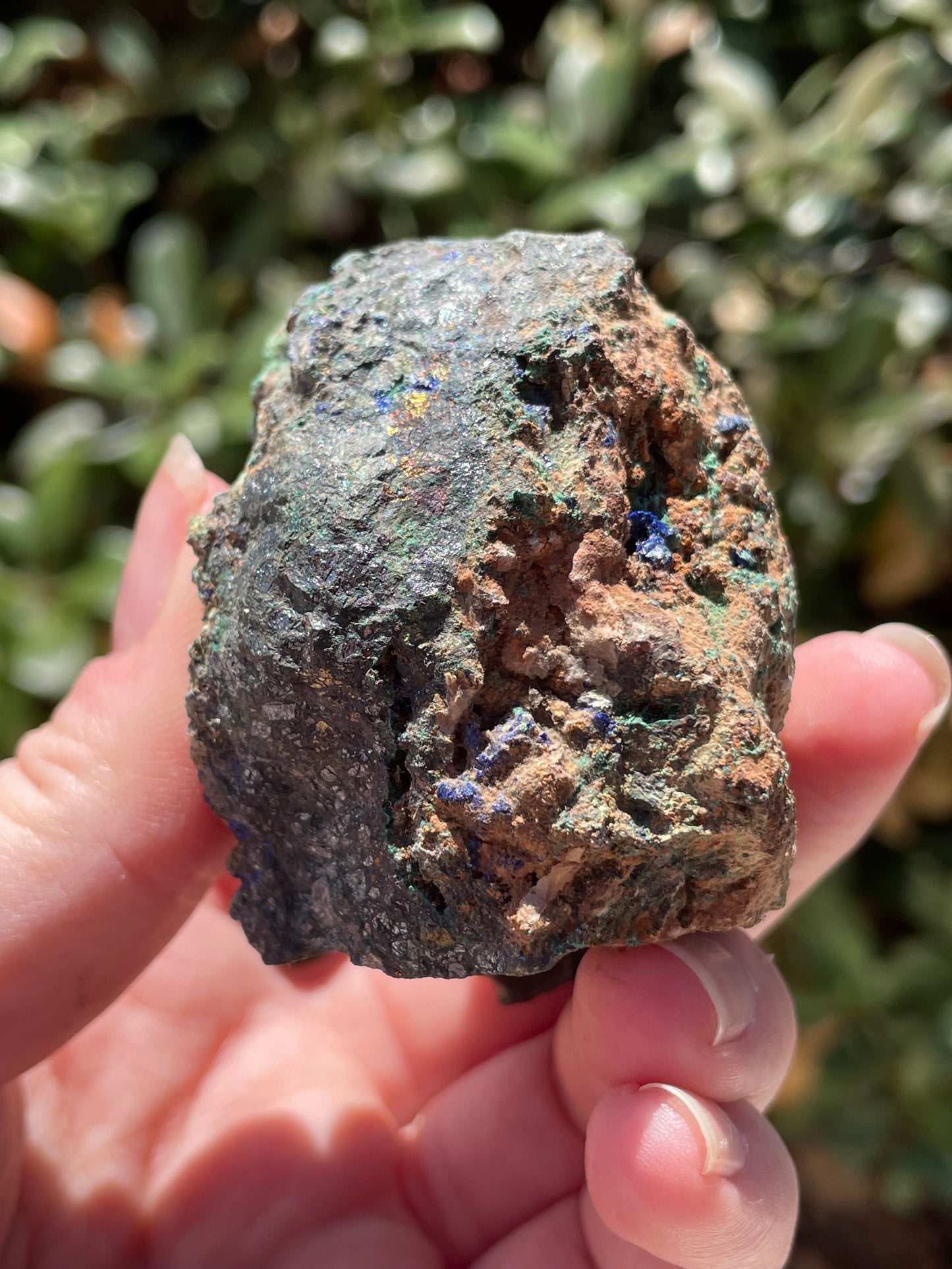 Malachite & Azurite on Chalcopyrite Crystal Mineral Specimen