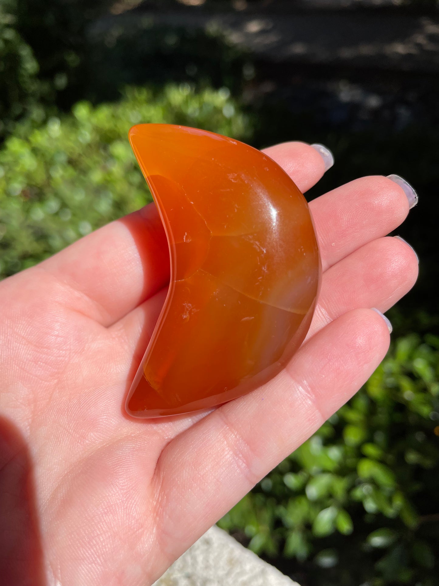 Carnelian 🌙 Crescent Moon Crystals