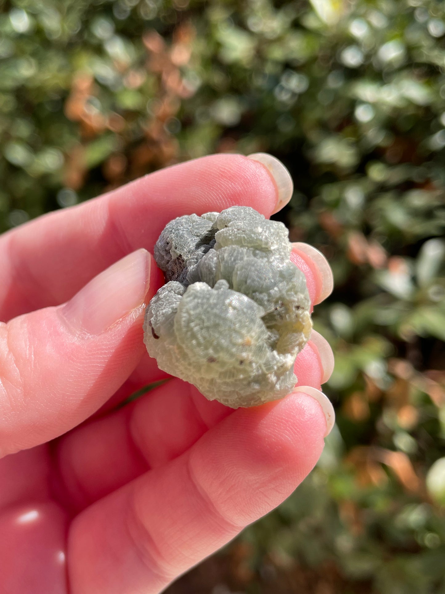 Prehnite with Epidote Crystal Clusters