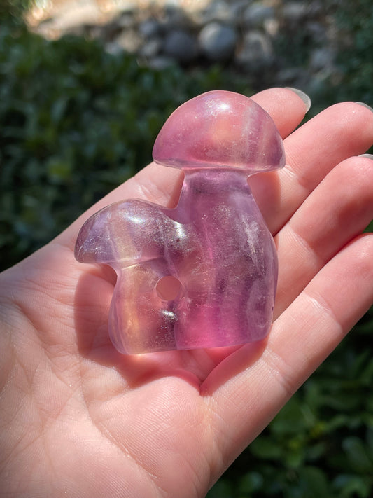 Rainbow Fluorite Crystal Mushroom Carving