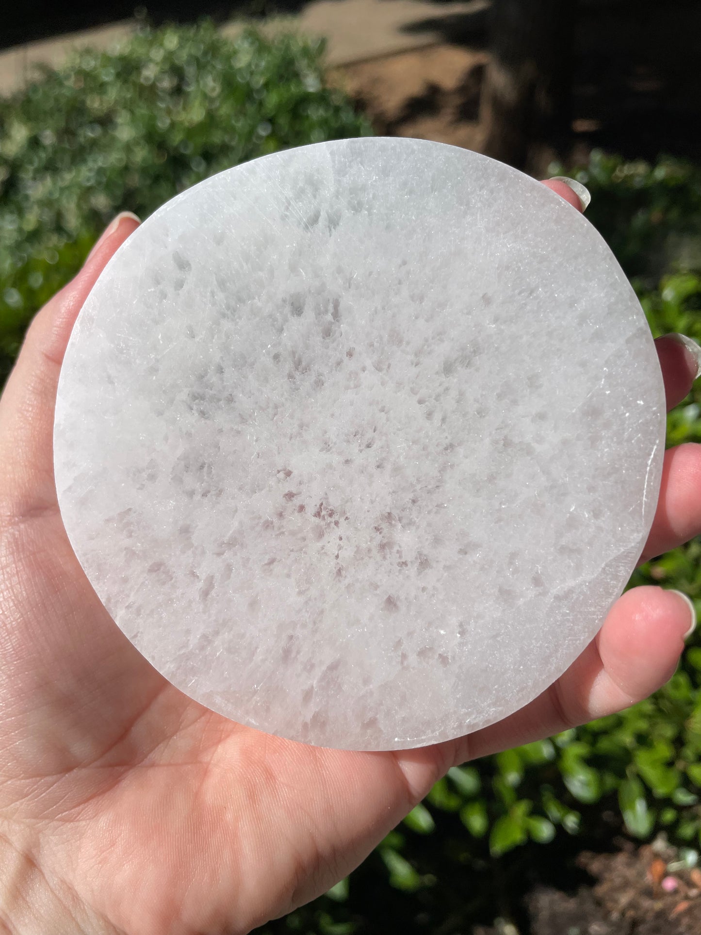 Zodiac Astrology Wheel Satin Spar Selenite Crystal Charging Plate