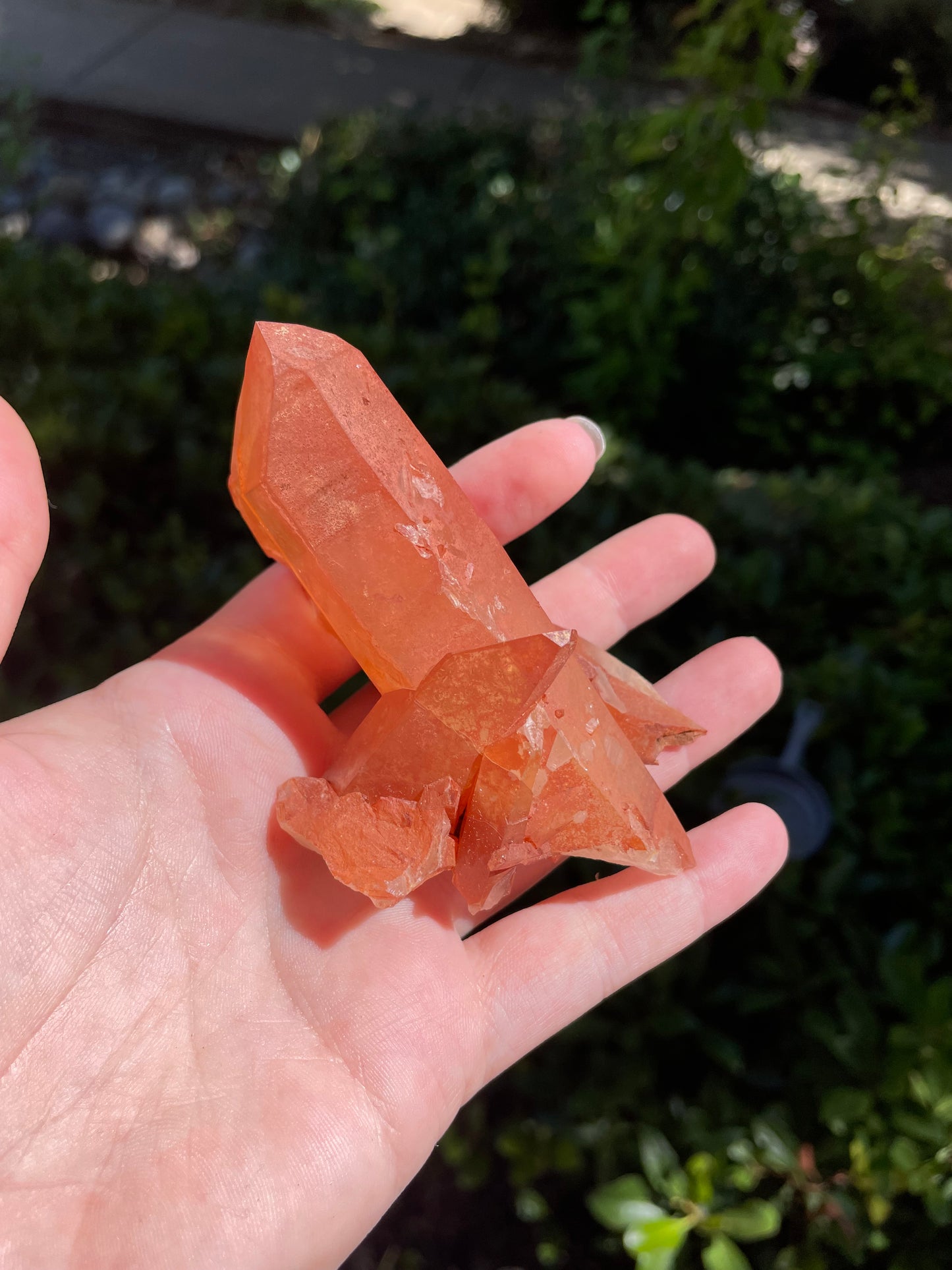 Tangerine Quartz Crystal Cluster