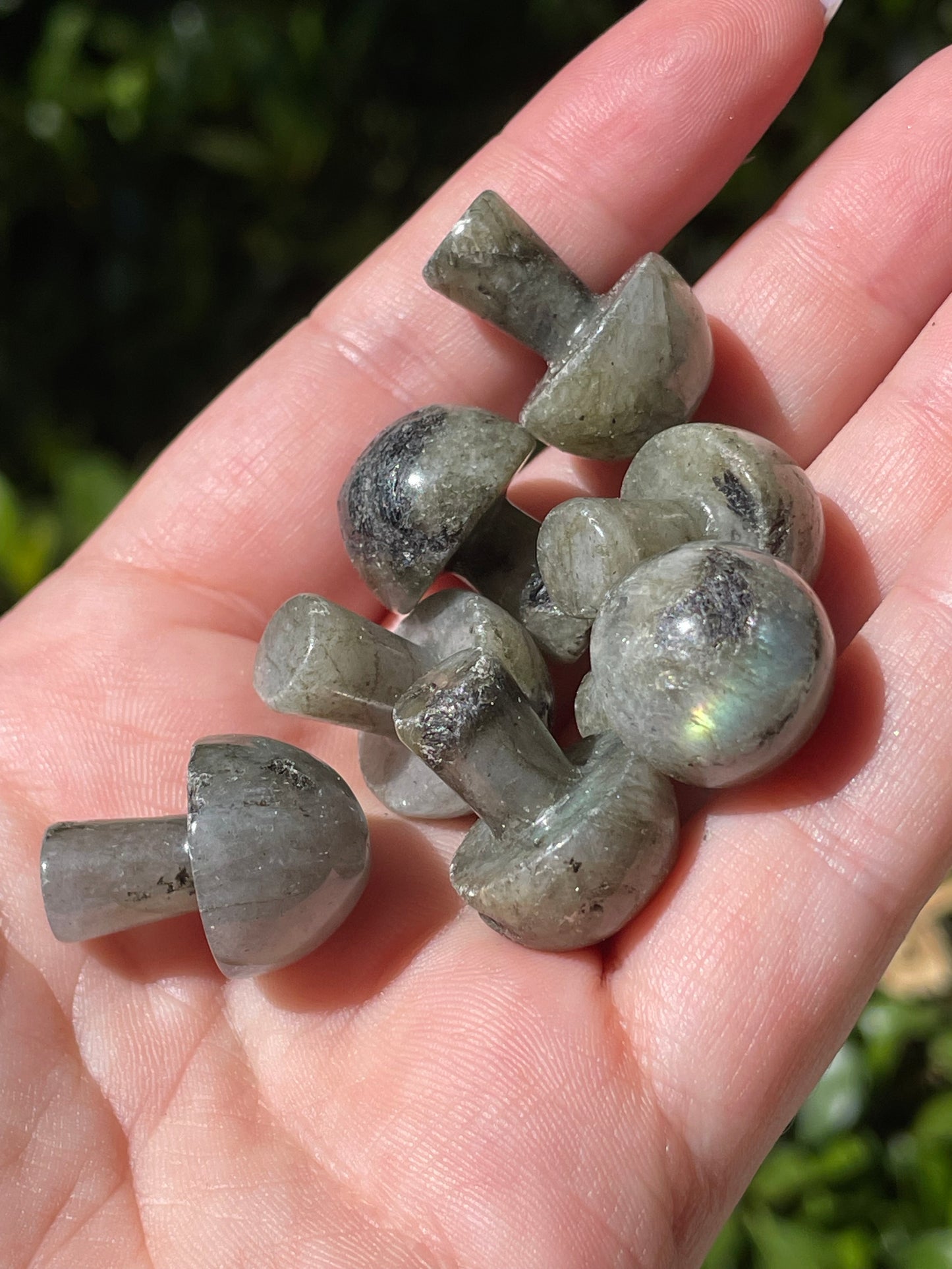 Mini Labradorite Crystal Mushrooms