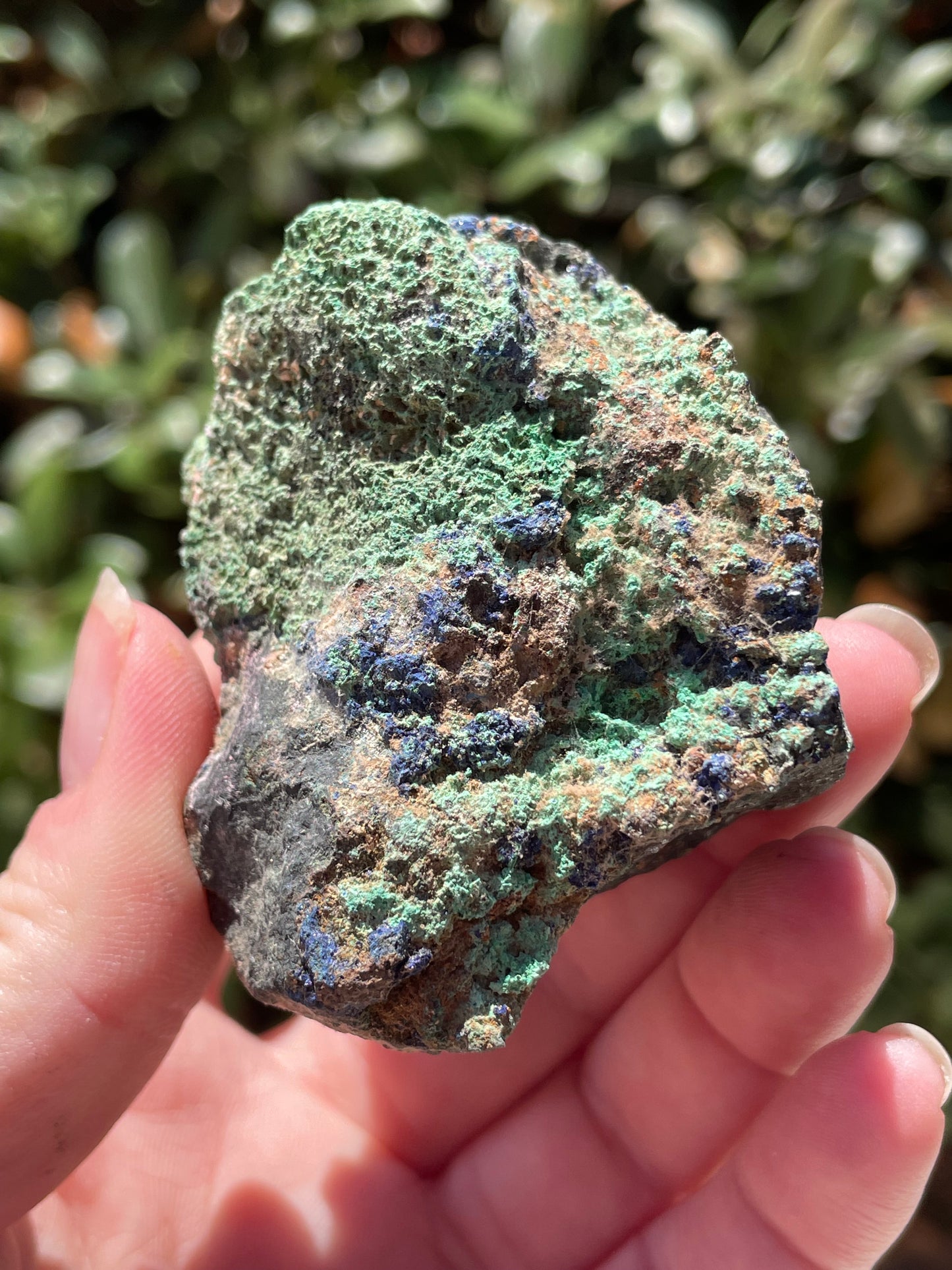 Malachite & Azurite on Chalcopyrite Crystal Mineral Specimen