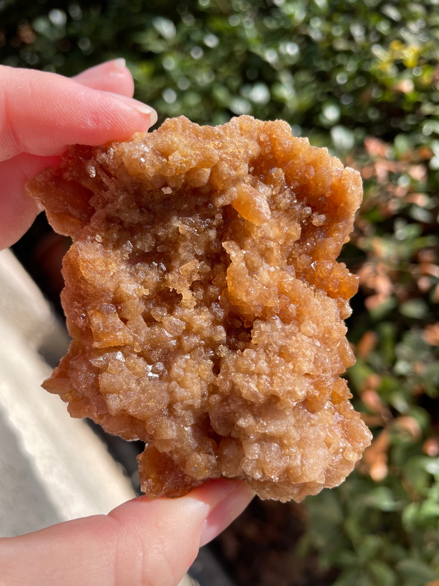 Raw Untreated Citrine Crystal Cluster