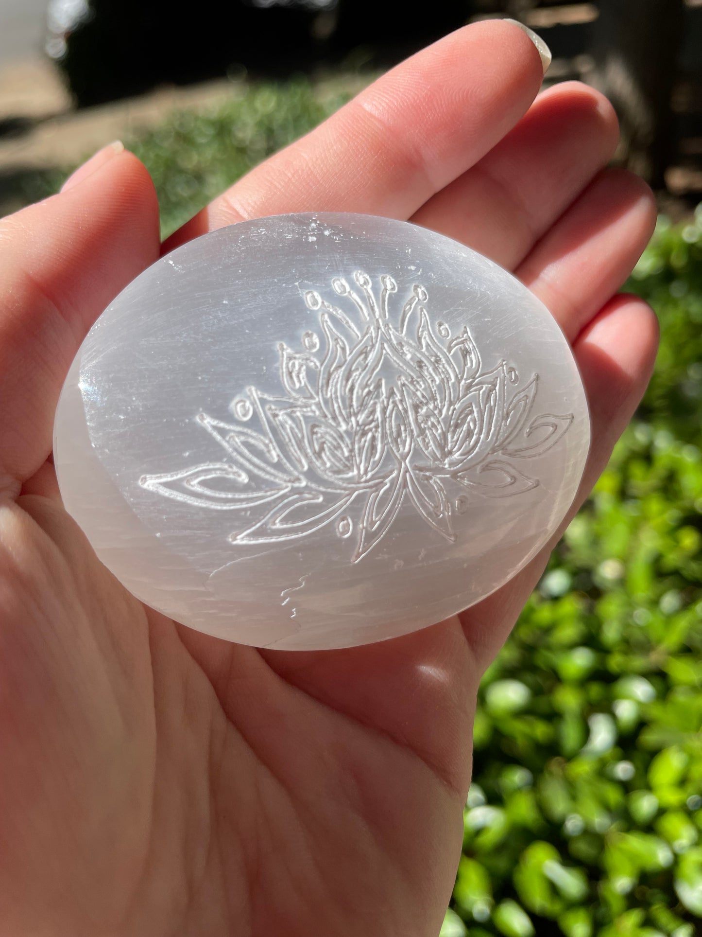 Lotus Flower Satin Spar Selenite Crystal Palm Stone