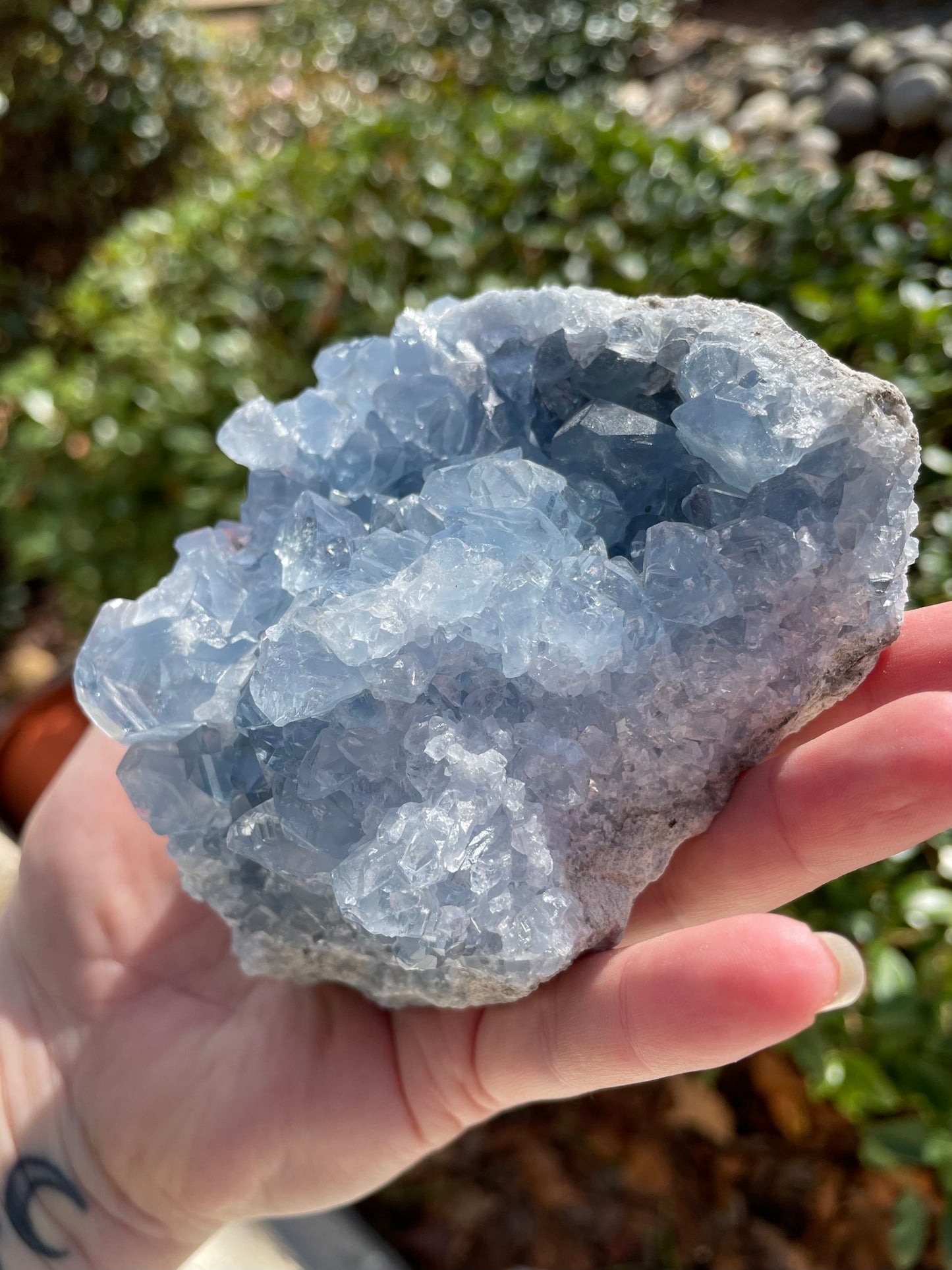 Celestite Crystal Statement Piece Cluster