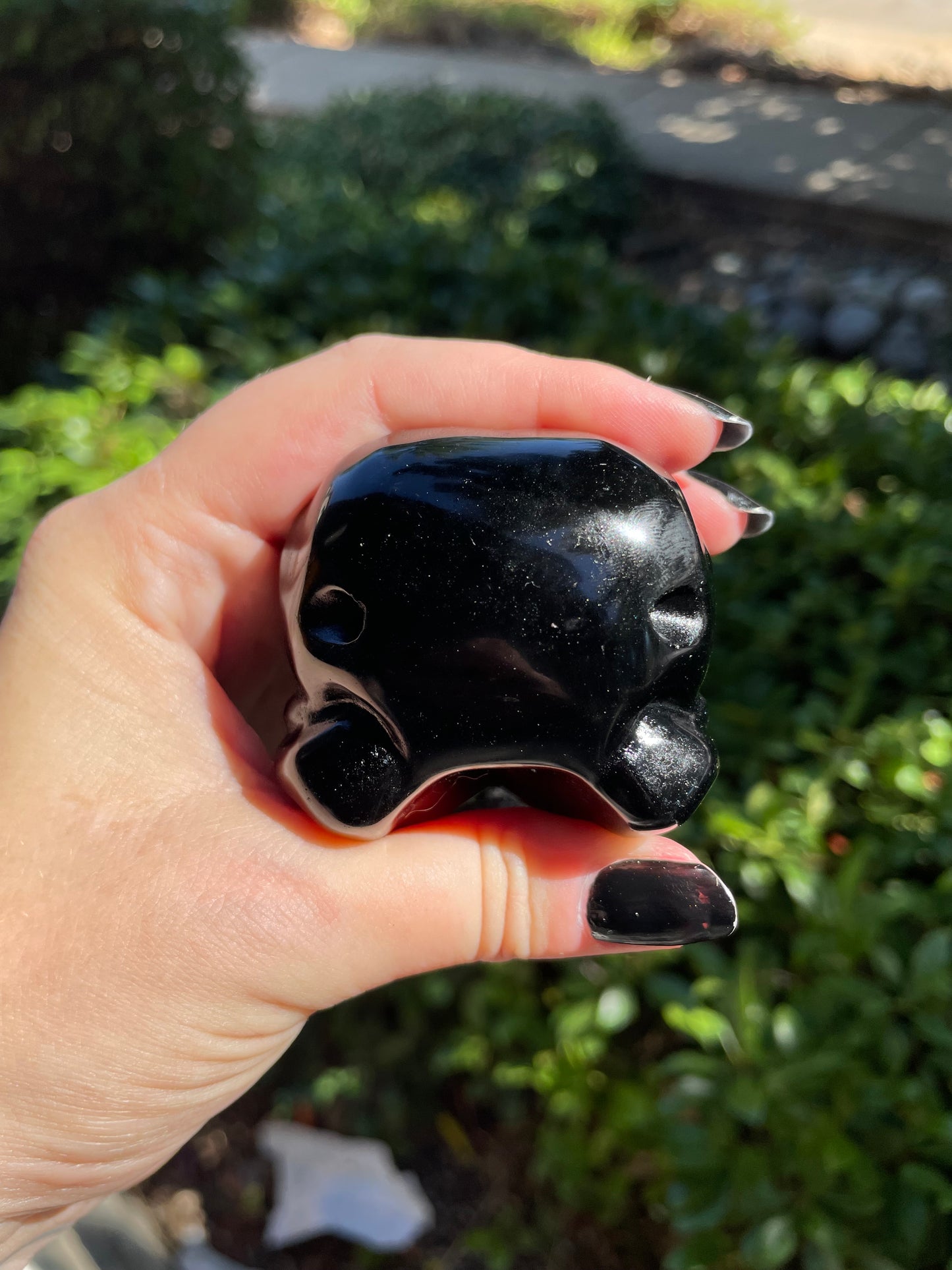 Large Obsidian Raven Skull Crystal Carving