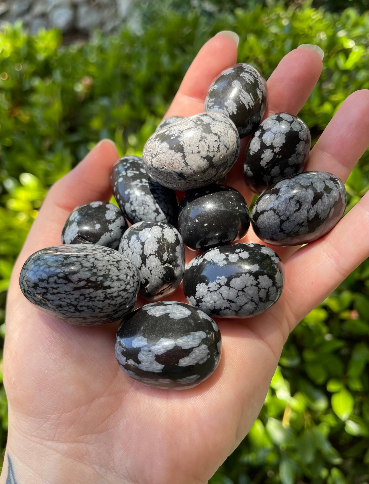 Snowflake Obsidian Tumbles