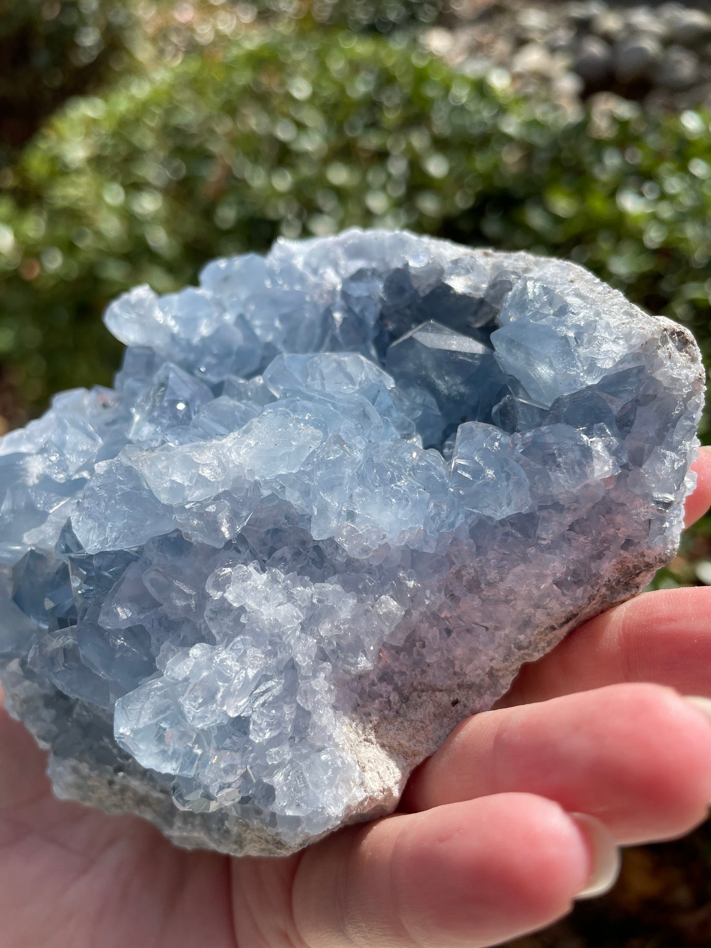 Celestite Crystal Statement Piece Cluster