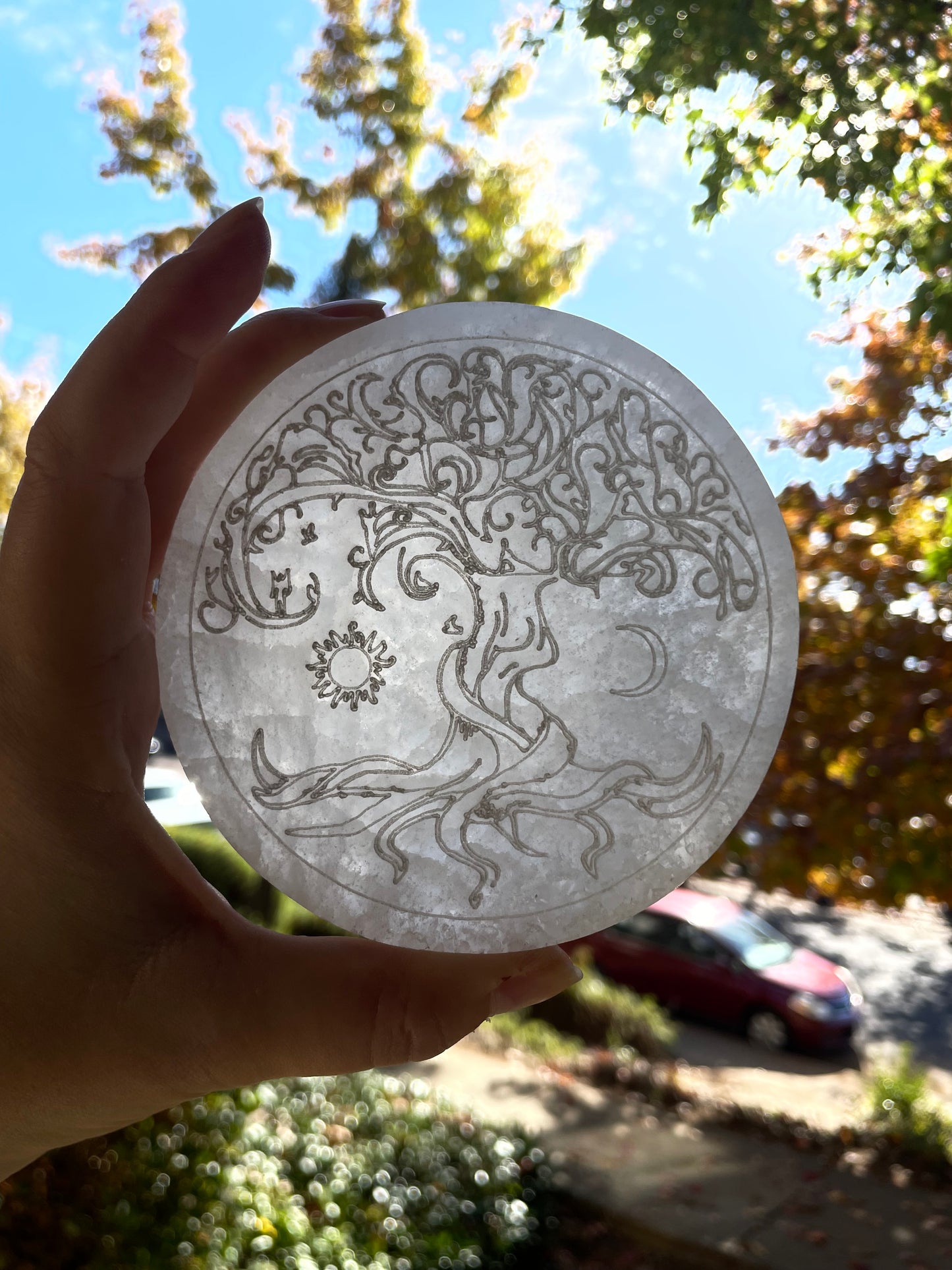 Tree of Life Satin Spar Selenite Crystal Charging Plate