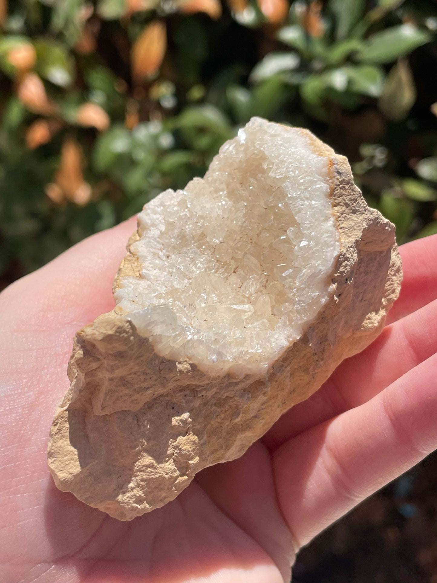 Dogtooth Calcite Crystal Cluster