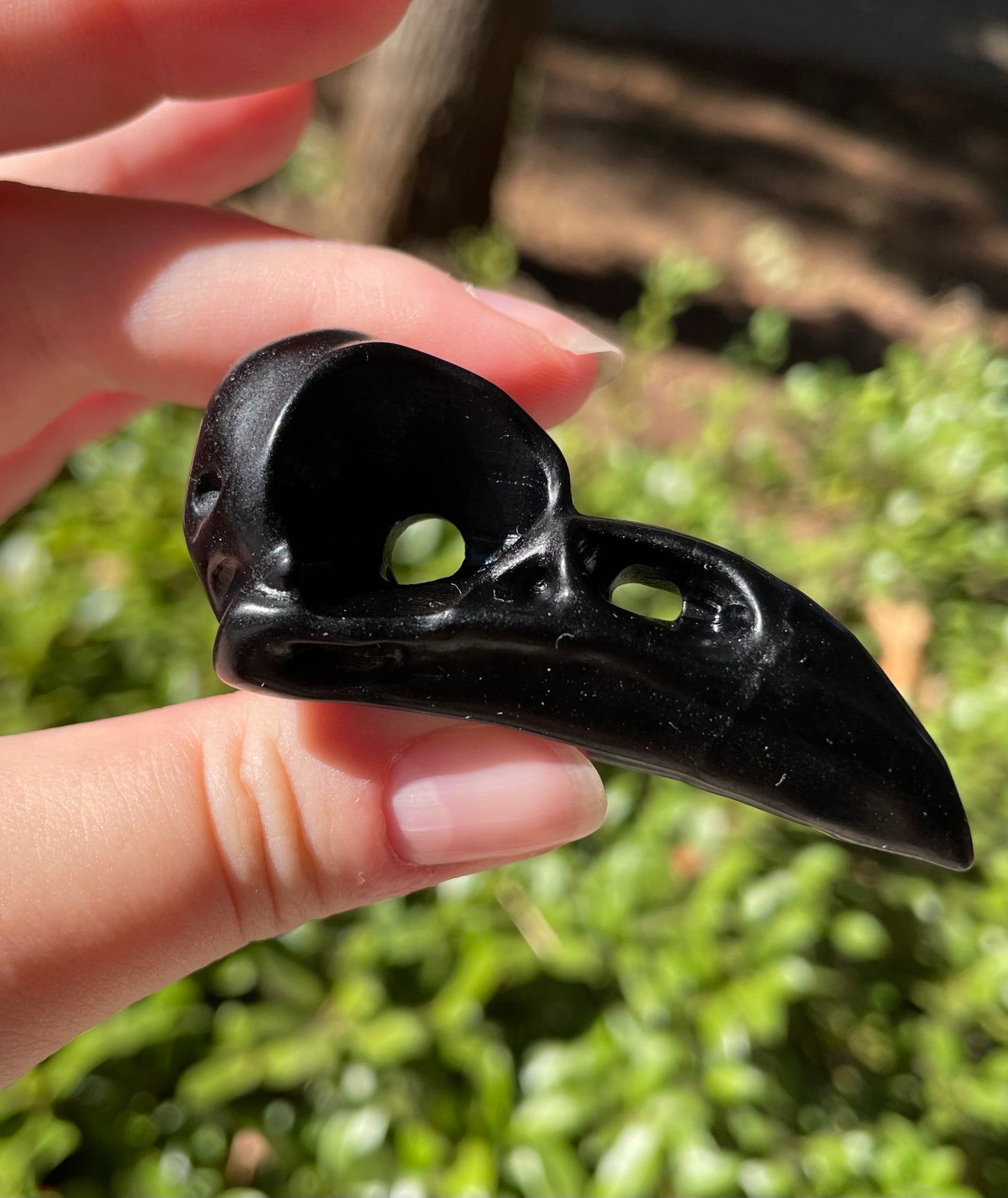 Obsidian Raven Skull Medium