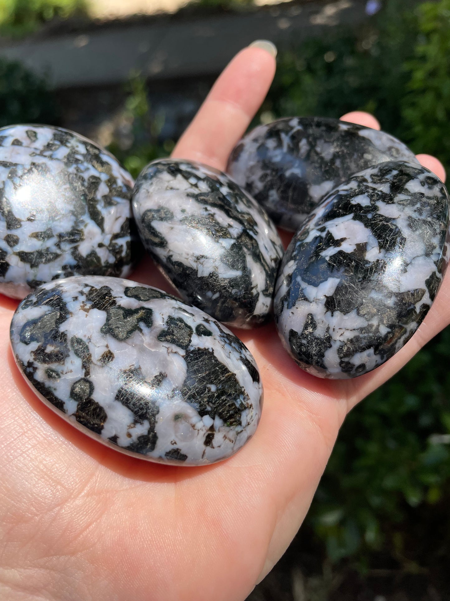 Indigo Gabbro “Mystic Merlinite” Crystal Palm Stone