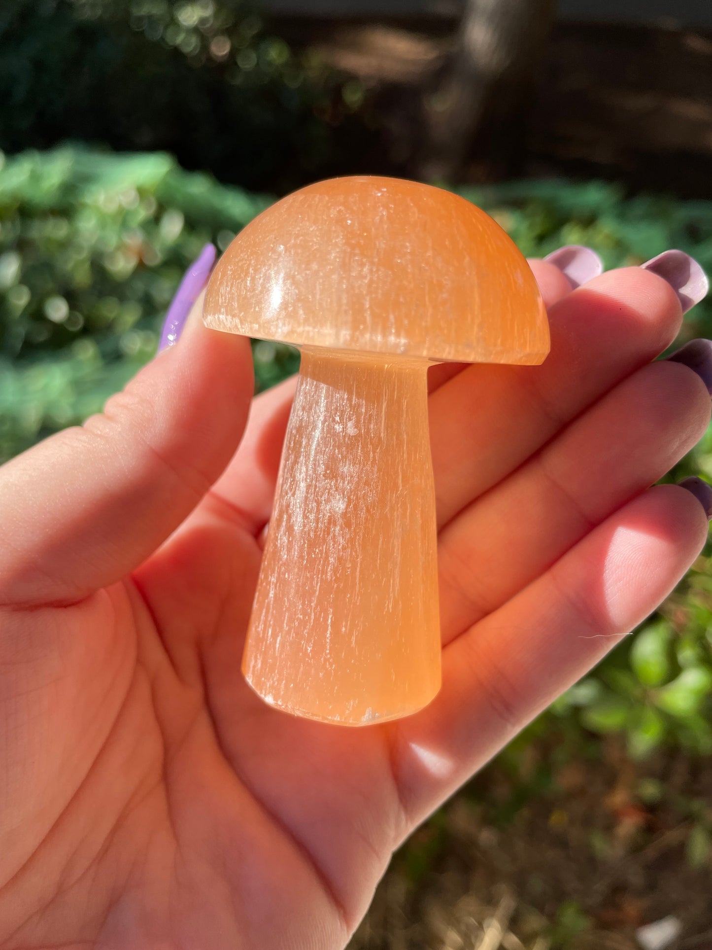 Peach Satin Spar Selenite Crystal Mushrooms