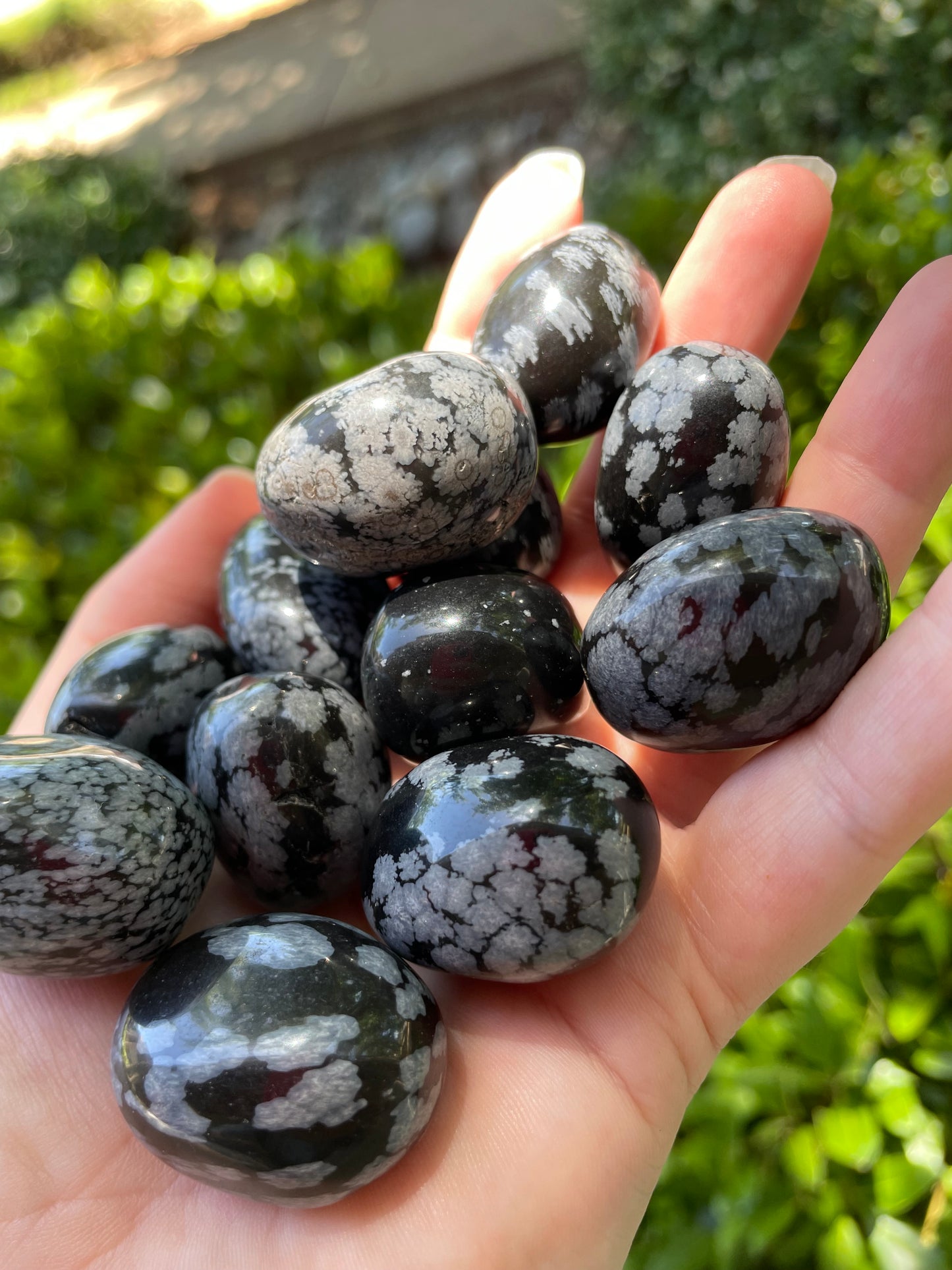 Snowflake Obsidian Tumbles