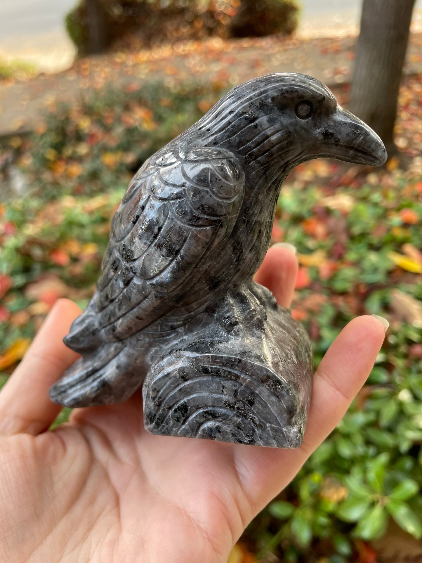 4” Larvikite Raven Statue