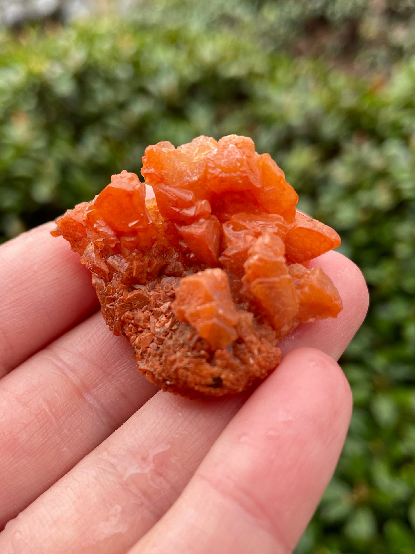 Orange Calcite Crystal Cluster