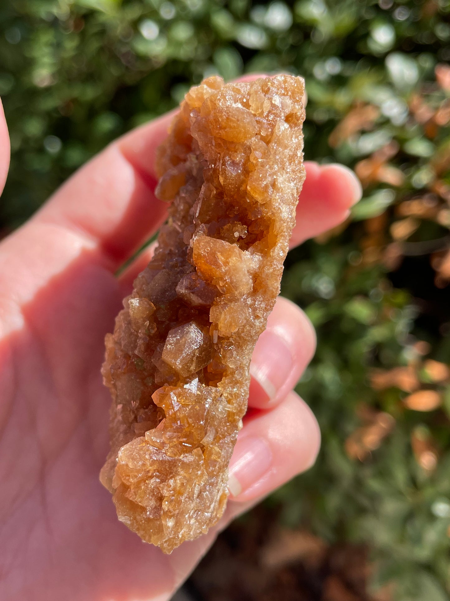 Raw Untreated Citrine Crystal Cluster