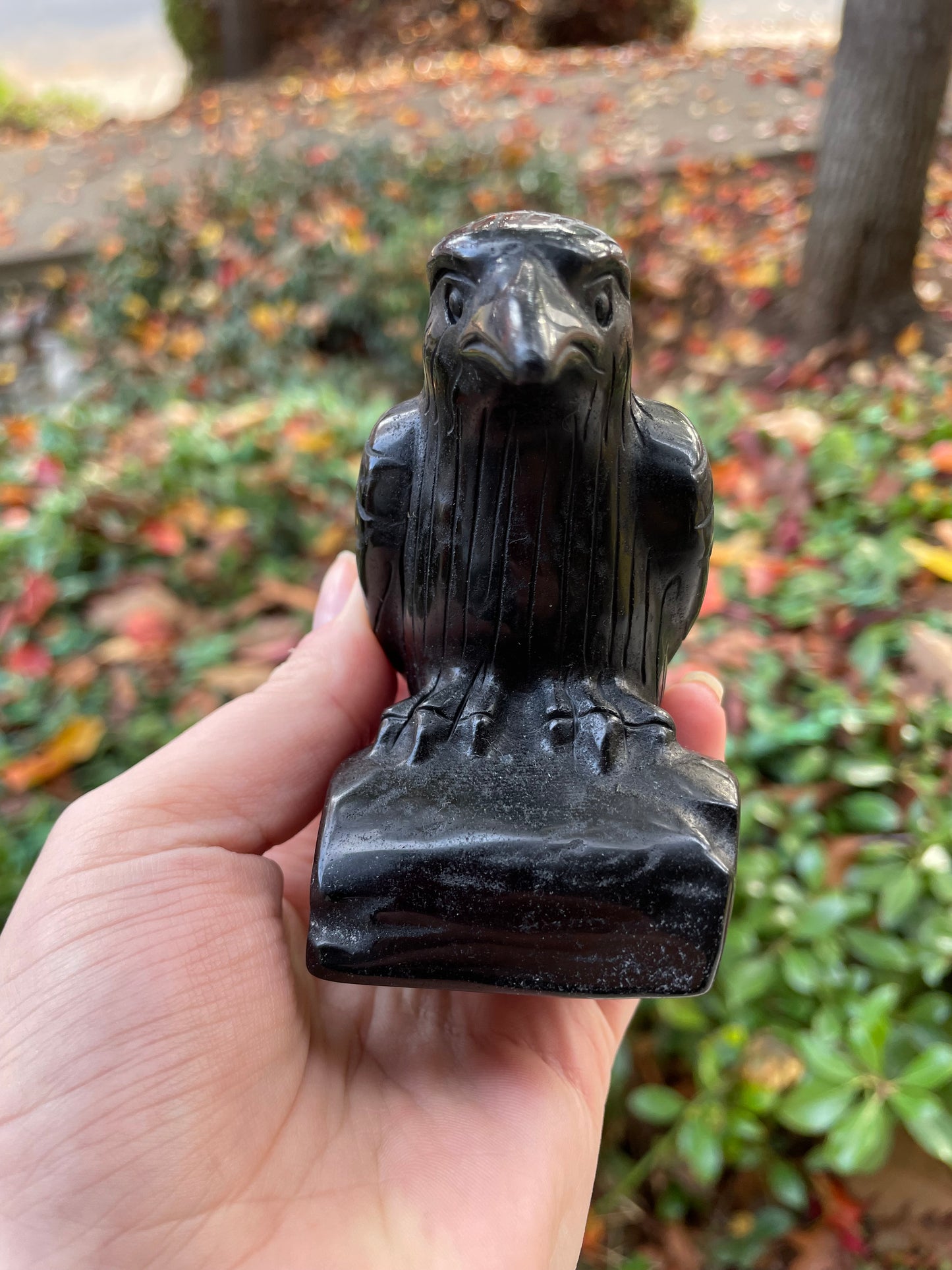 4” Obsidian Raven Statue