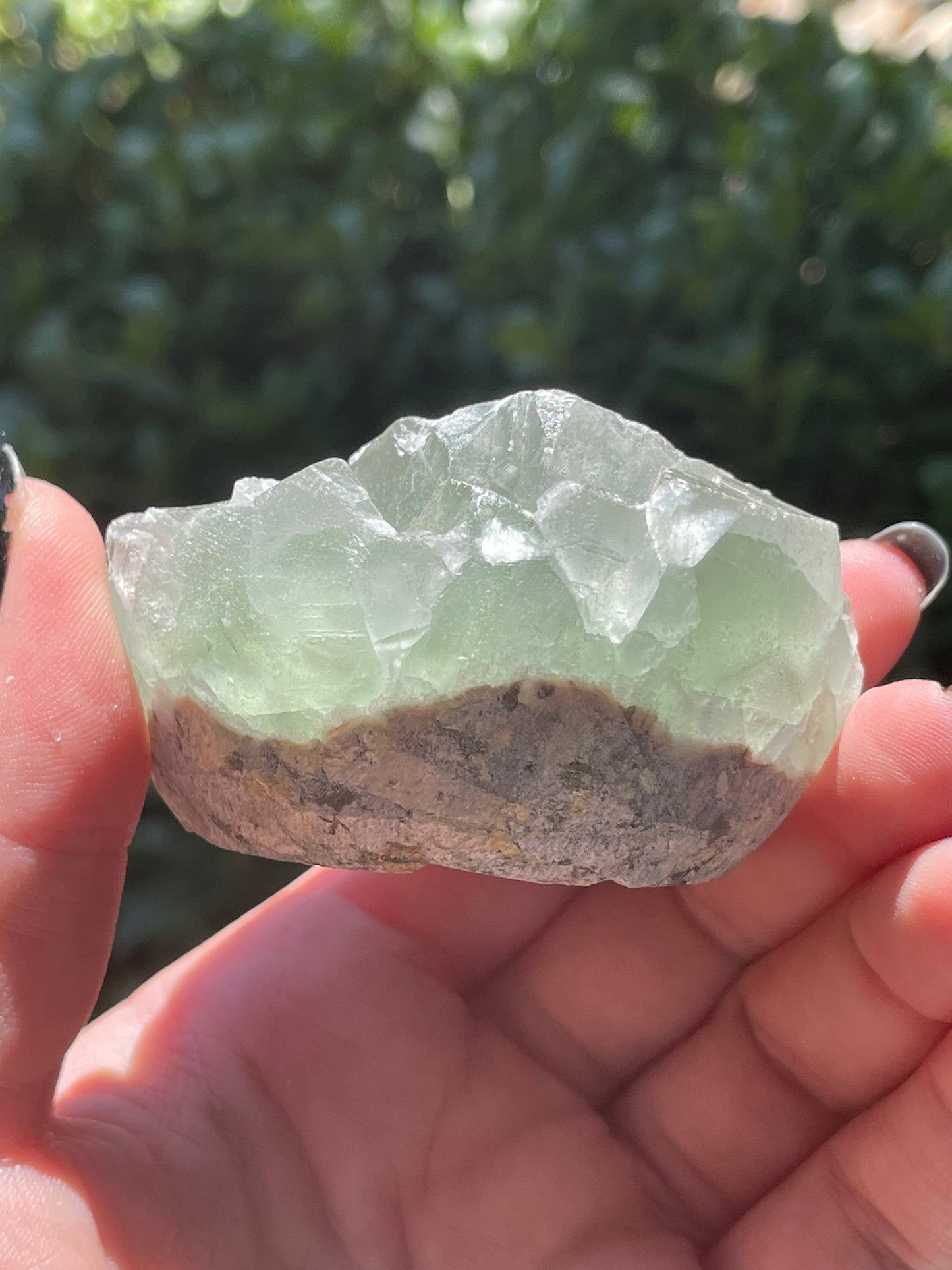 Green Fluorite Cluster Pet Rock Groot Crystal