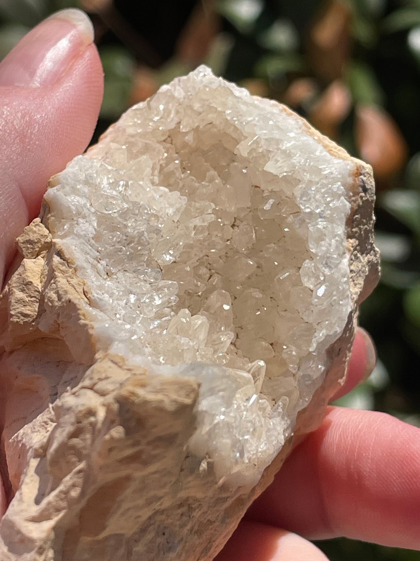 Dogtooth Calcite Crystal Cluster