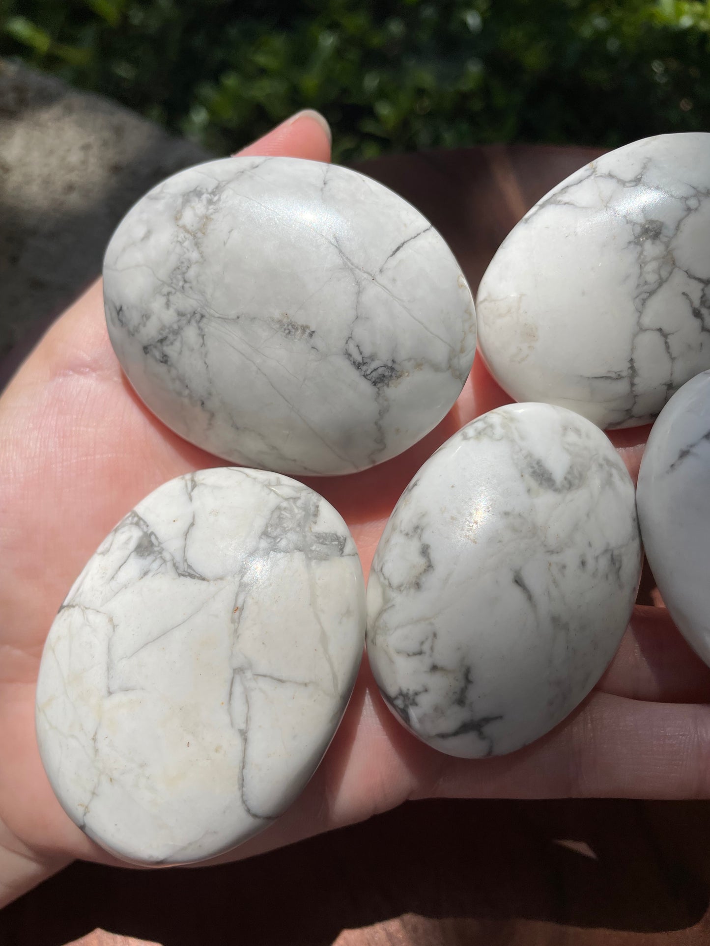 Howlite Crystal Palm Stones