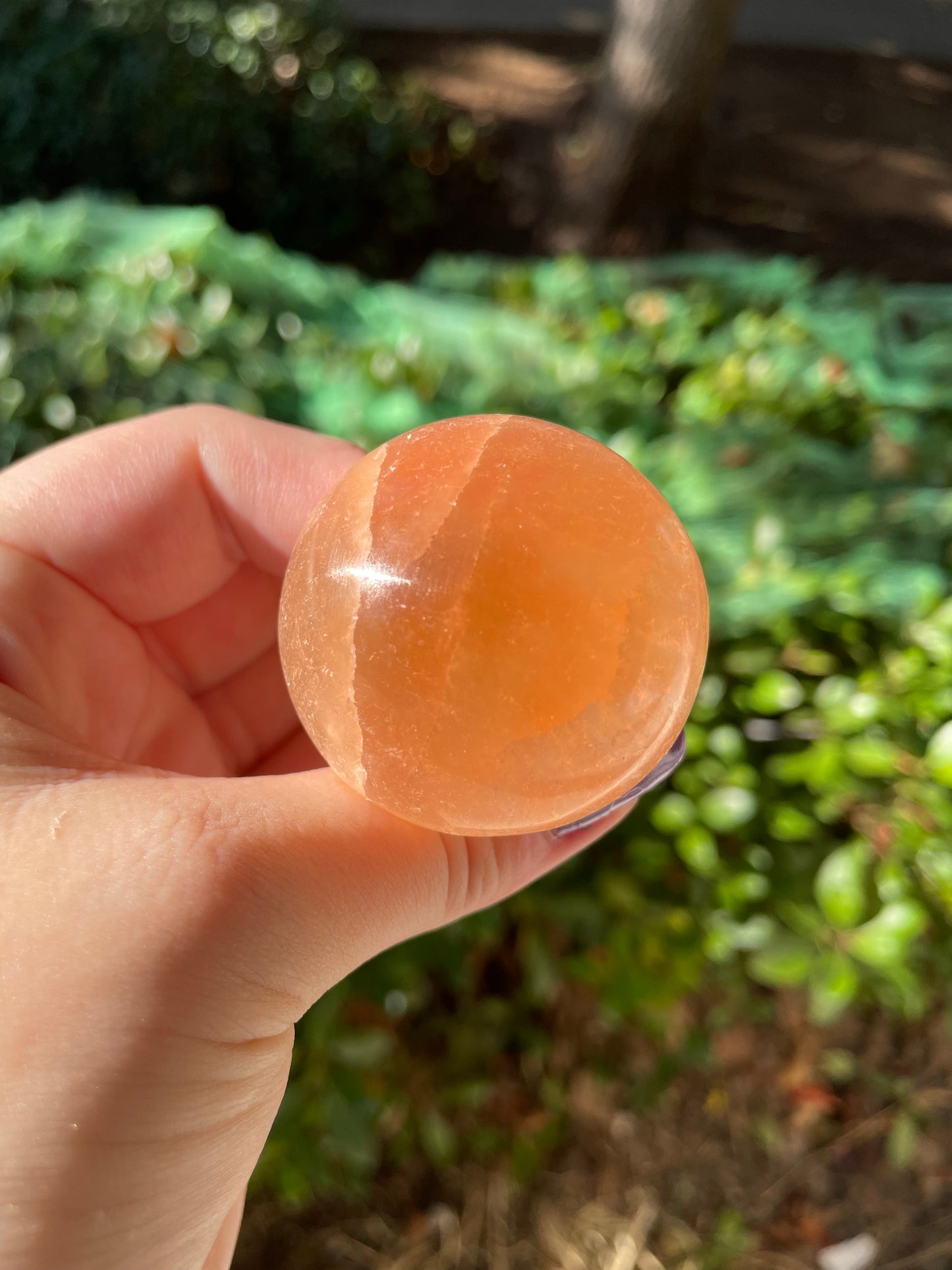 Peach Satin Spar Selenite Crystal Mushrooms