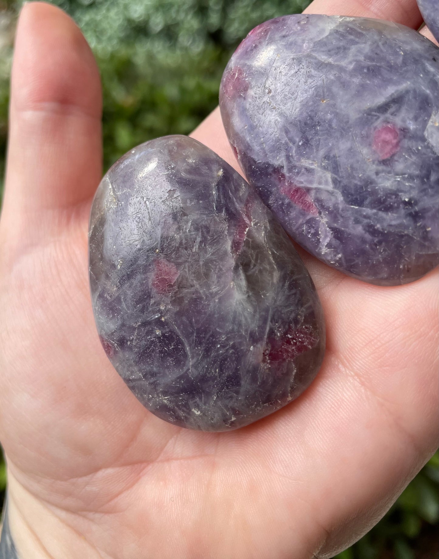 Unicorn Stone Palm Stones