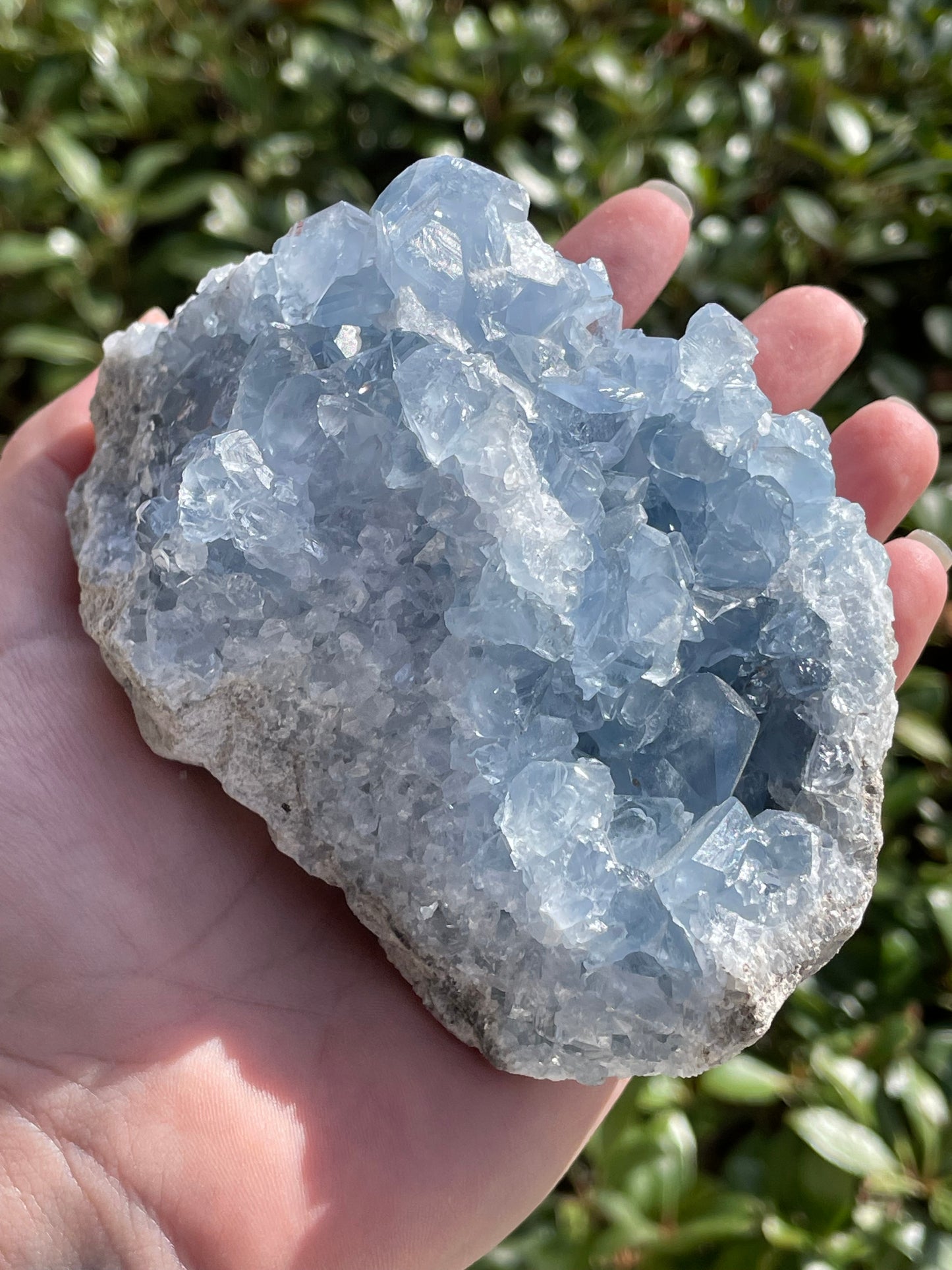 Celestite Crystal Statement Piece Cluster