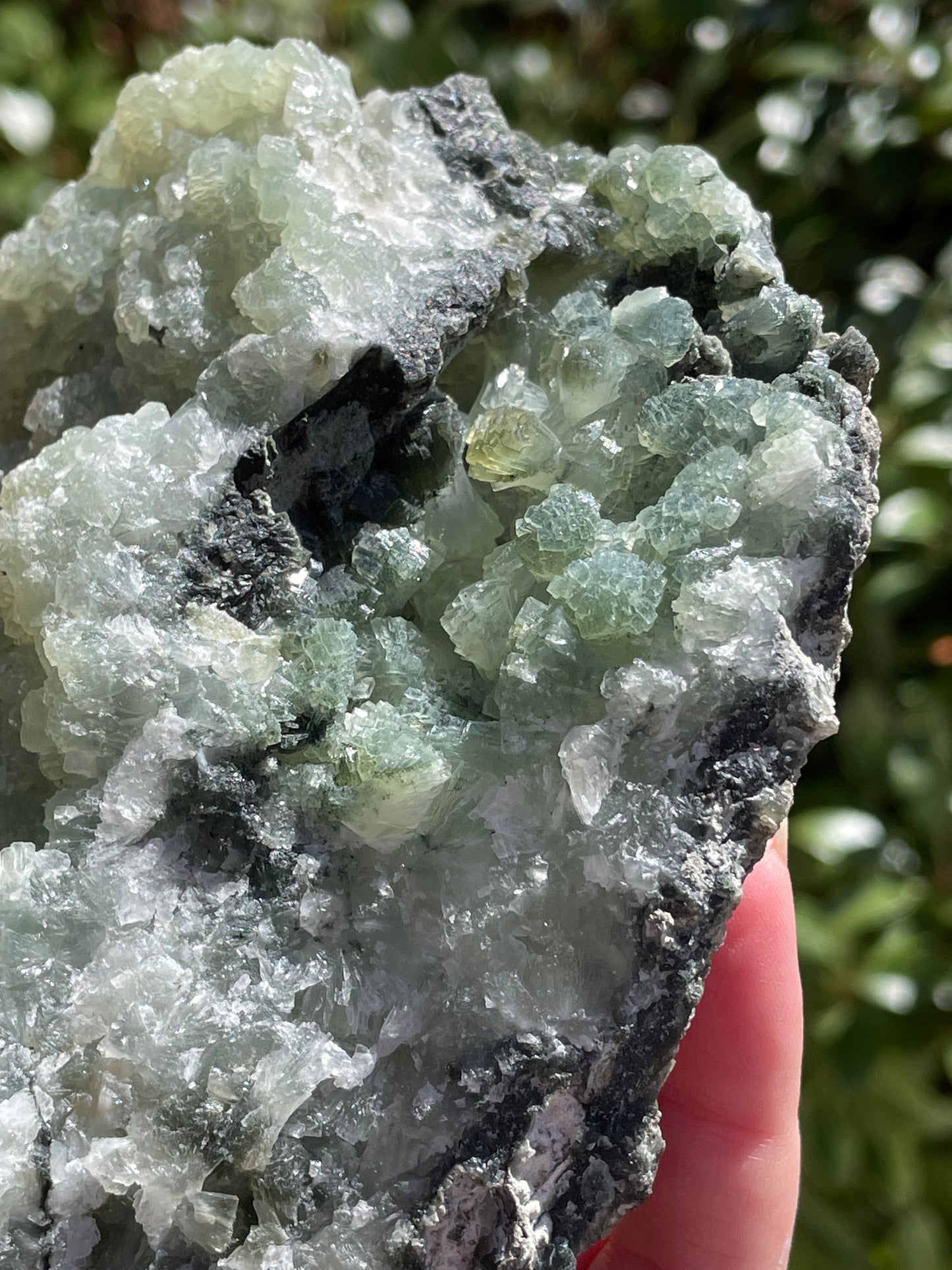 Prehnite Statement Piece Raw Crystal Cluster