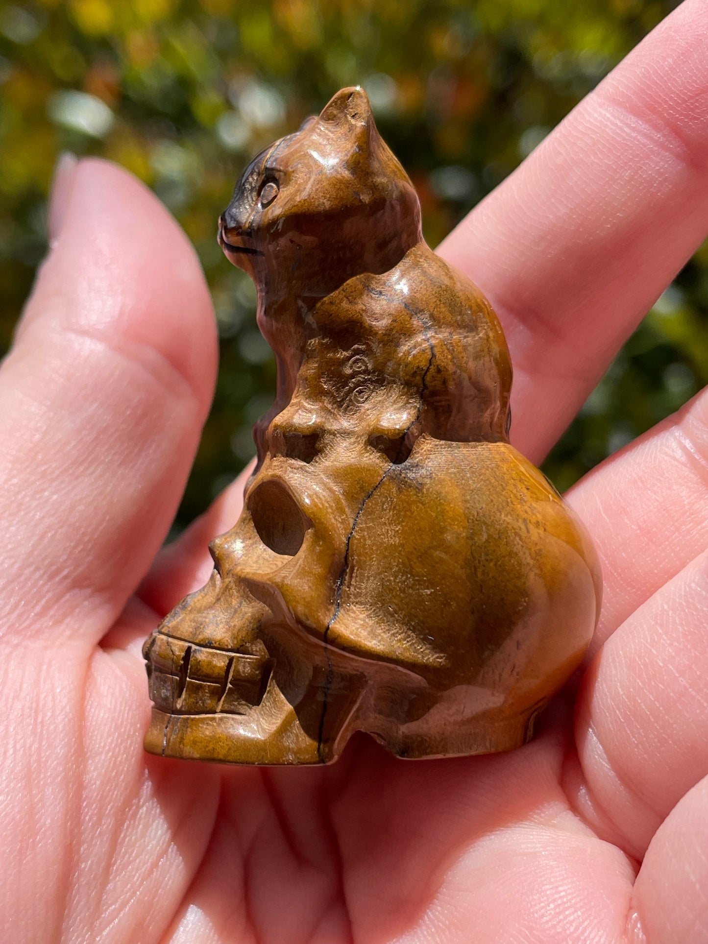 Cat on Skull Tigers Eye Carving