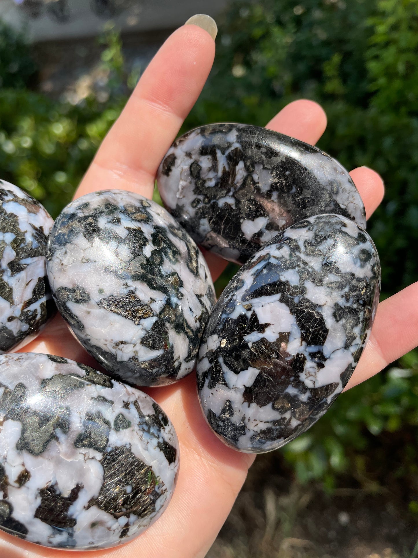 Indigo Gabbro “Mystic Merlinite” Crystal Palm Stone