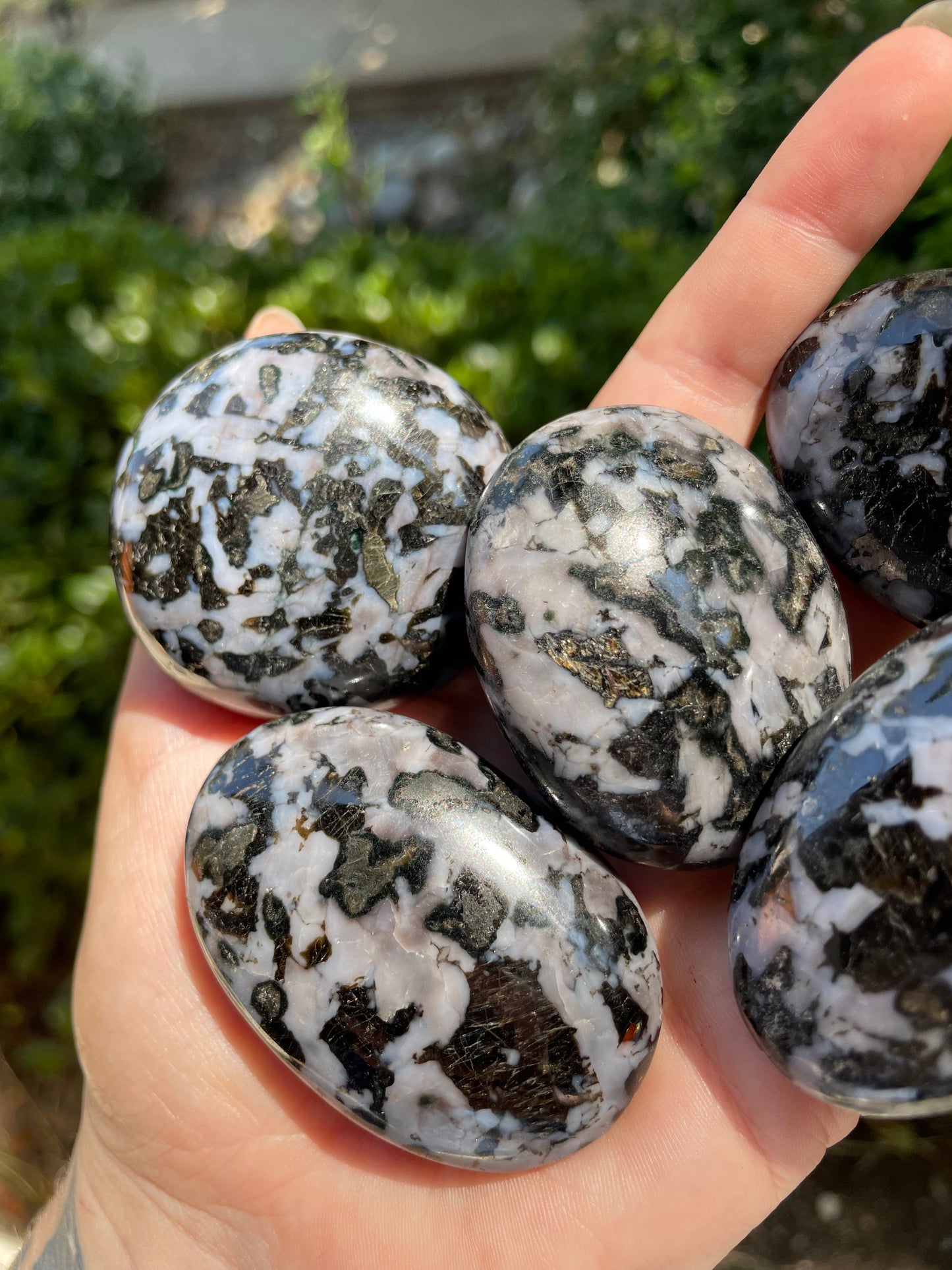 Indigo Gabbro “Mystic Merlinite” Crystal Palm Stone