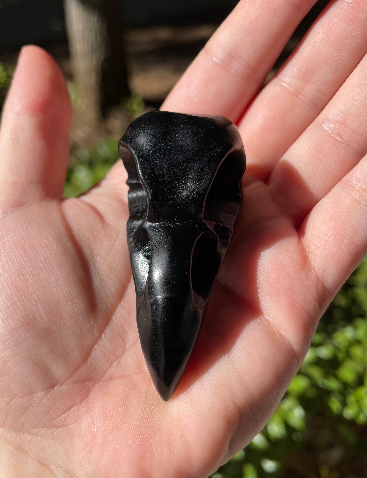 Obsidian Raven Skull Medium