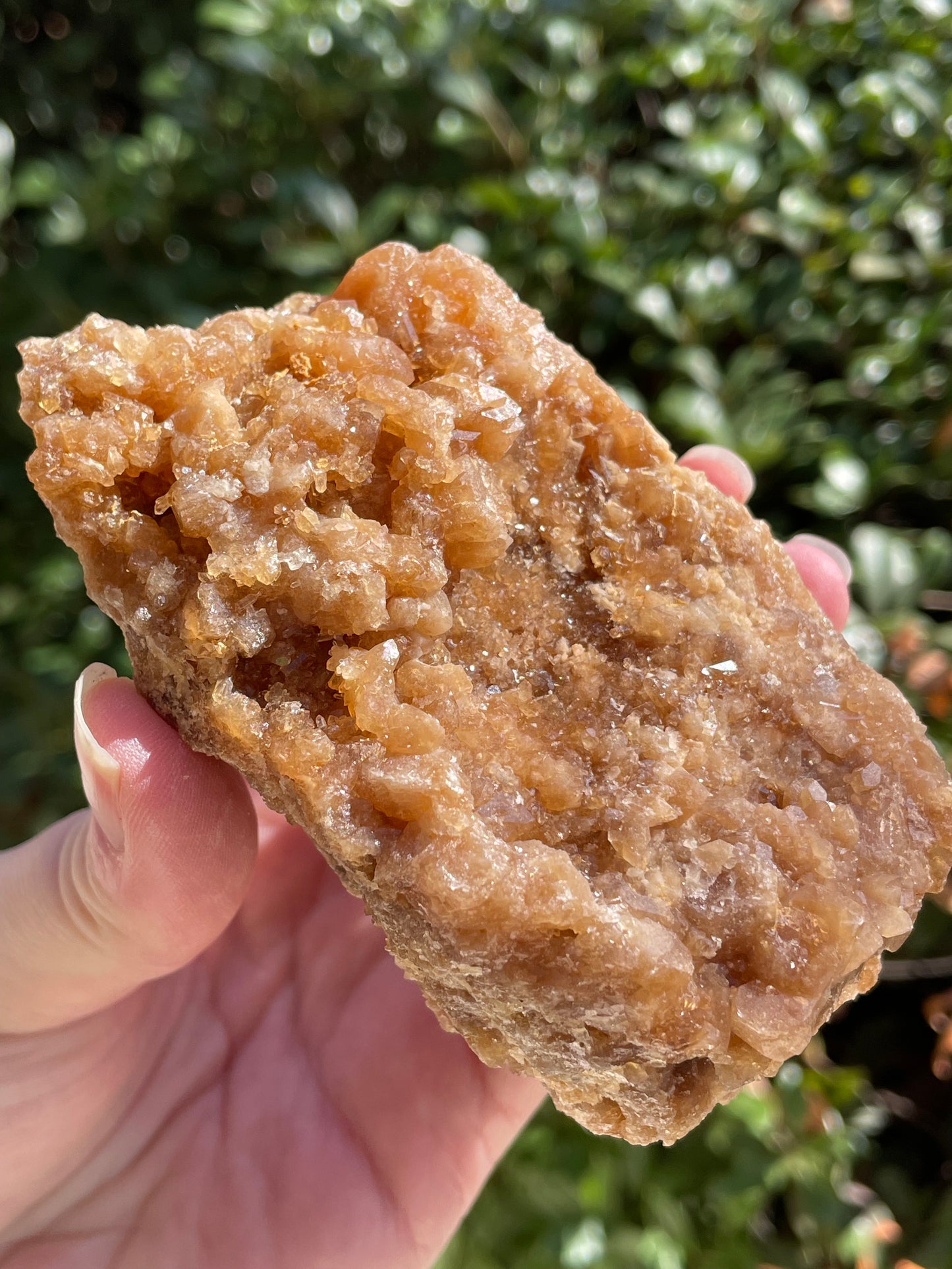 Raw Untreated Citrine Crystal Cluster