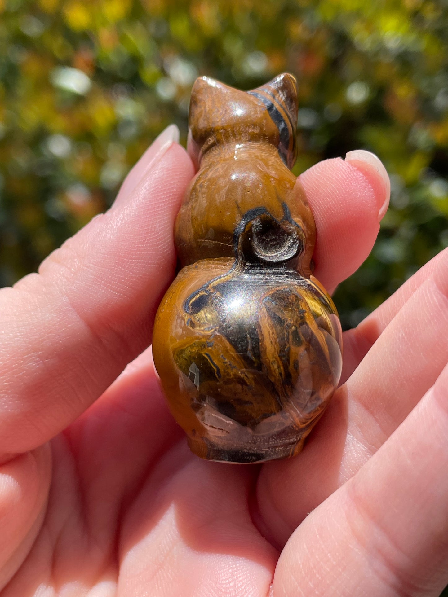 Cat on Skull Tigers Eye Carving