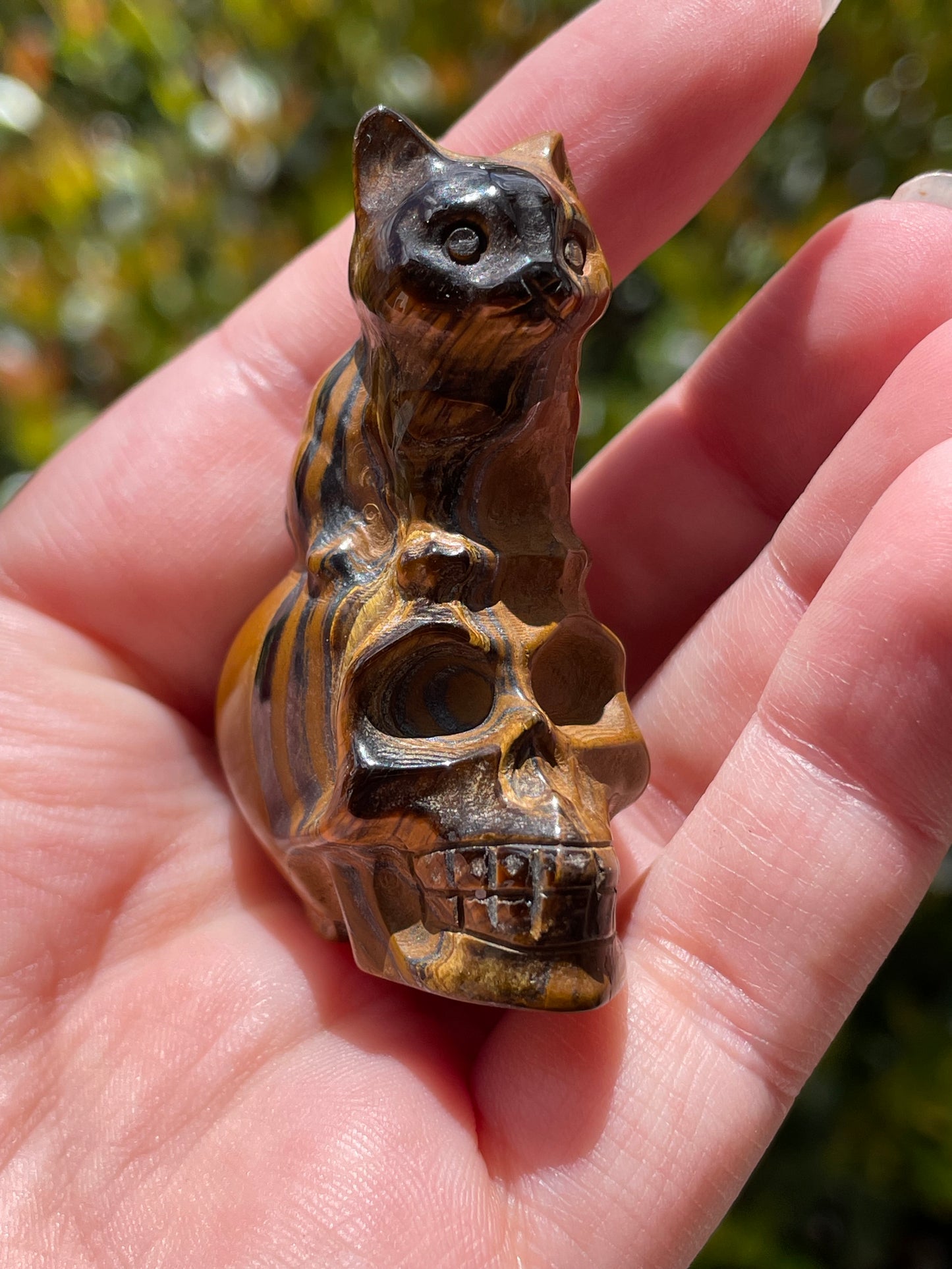 Cat on Skull Tigers Eye Carving