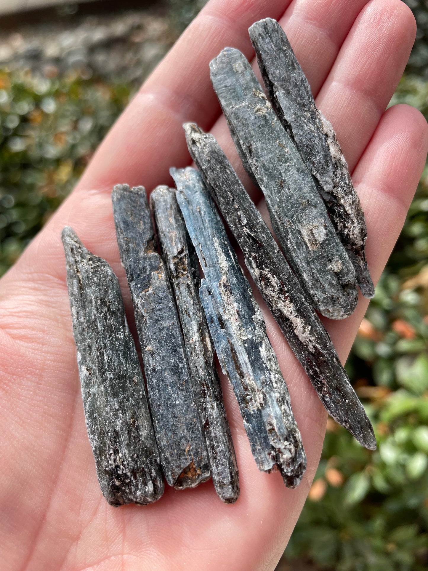 Indigo Blue Kyanite from Zimbabwe