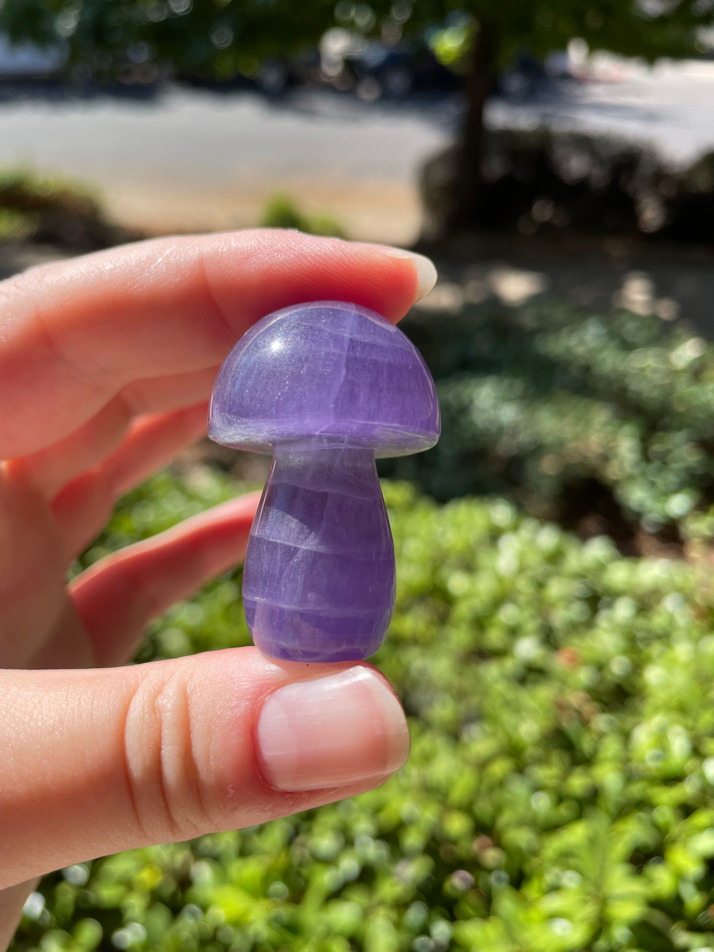 Rainbow Fluorite Crystal Mushrooms