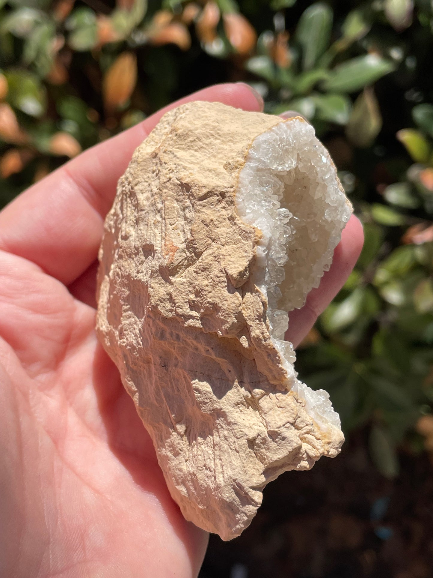 Dogtooth Calcite Crystal Cluster