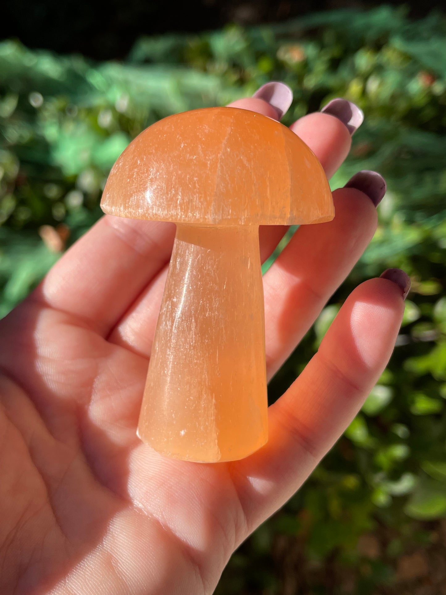 Peach Satin Spar Selenite Crystal Mushrooms